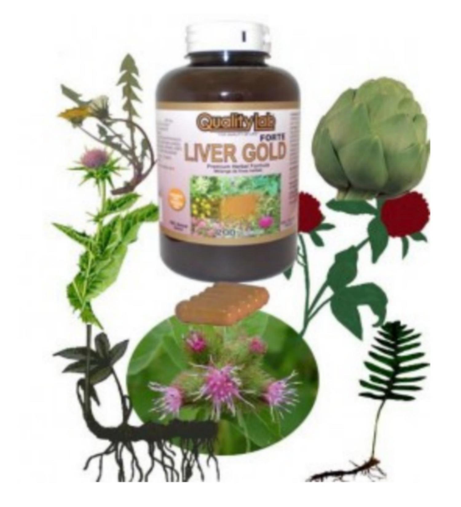 Quality Lab Canadian Liver Gold Forte 300 Capsules Great for Chronic Abnormal Lliver Function - Buy Online on GoSupps.com