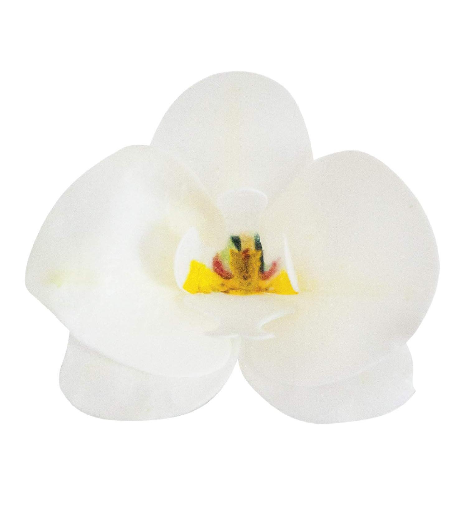 Dekora Edible White Orchid Cake Decoration | Edible Flowers for Cakes & Cupcakes - International Shipping - Buy Online on GoSupps.com