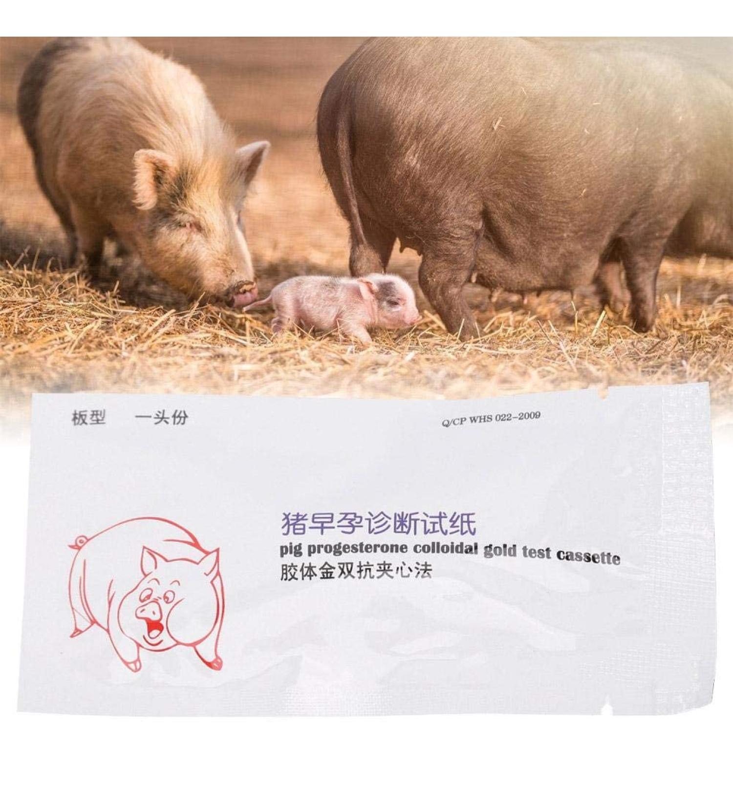Disposable Pig Pregnancy Test Strips | Accurate Sowing Diagnostic Tester for Livestock | International Shipping Available - Buy Online on GoSupps.com