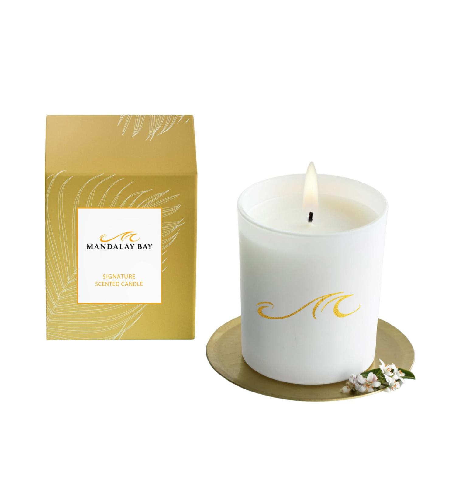 Candle - Luxury Hotel Fragrance - Soy Blend Wax - Coconut Pineapple Banana Clove - Signature Scent - 8.25 oz