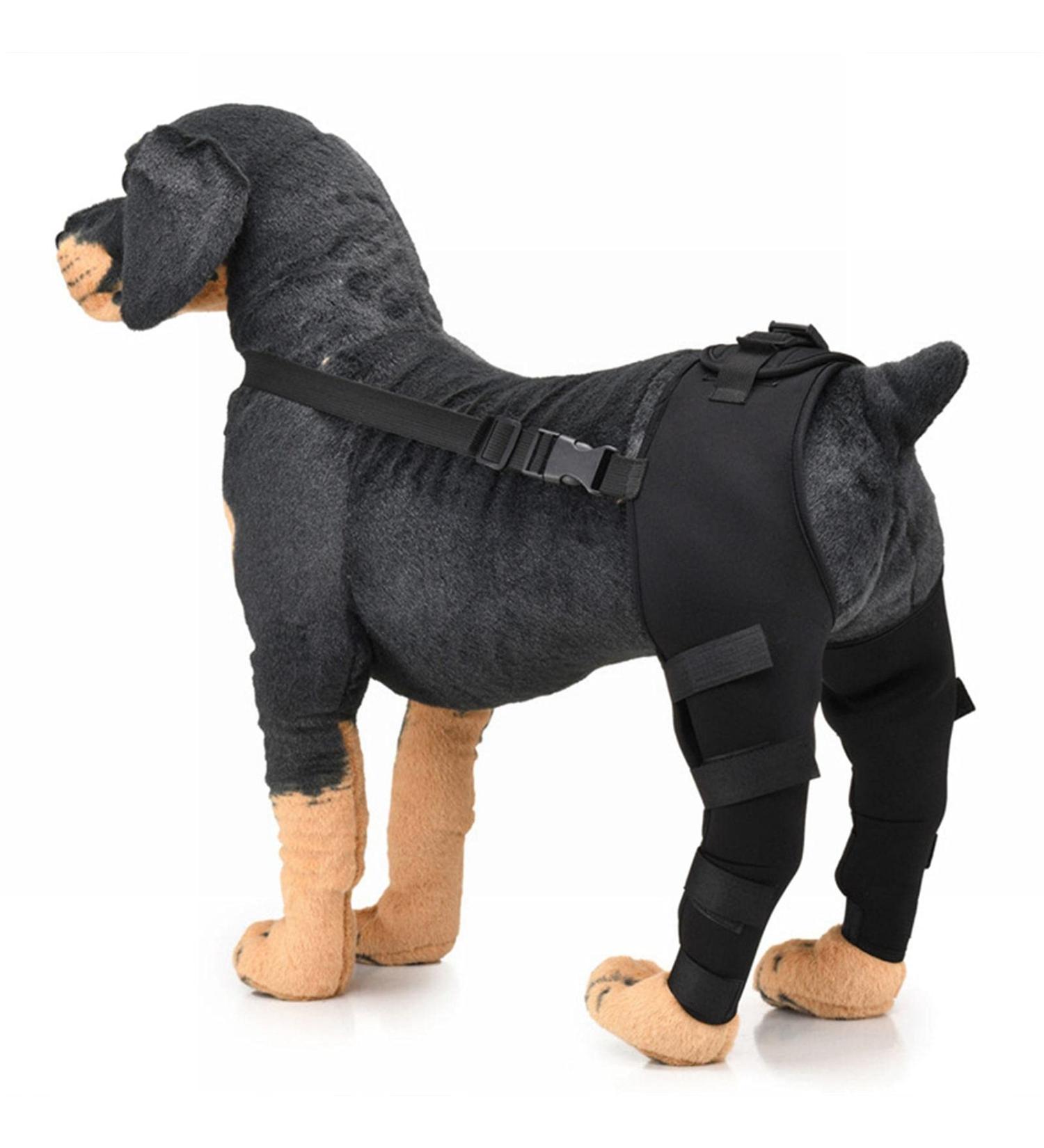 Dog Rear Hind Leg Joint Brace Pet Dog Double Hind Leg Brace Support Belt for Heals Prevents Injuries Sprains Protects Wounds. B Large - Buy Online on GoSupps.com
