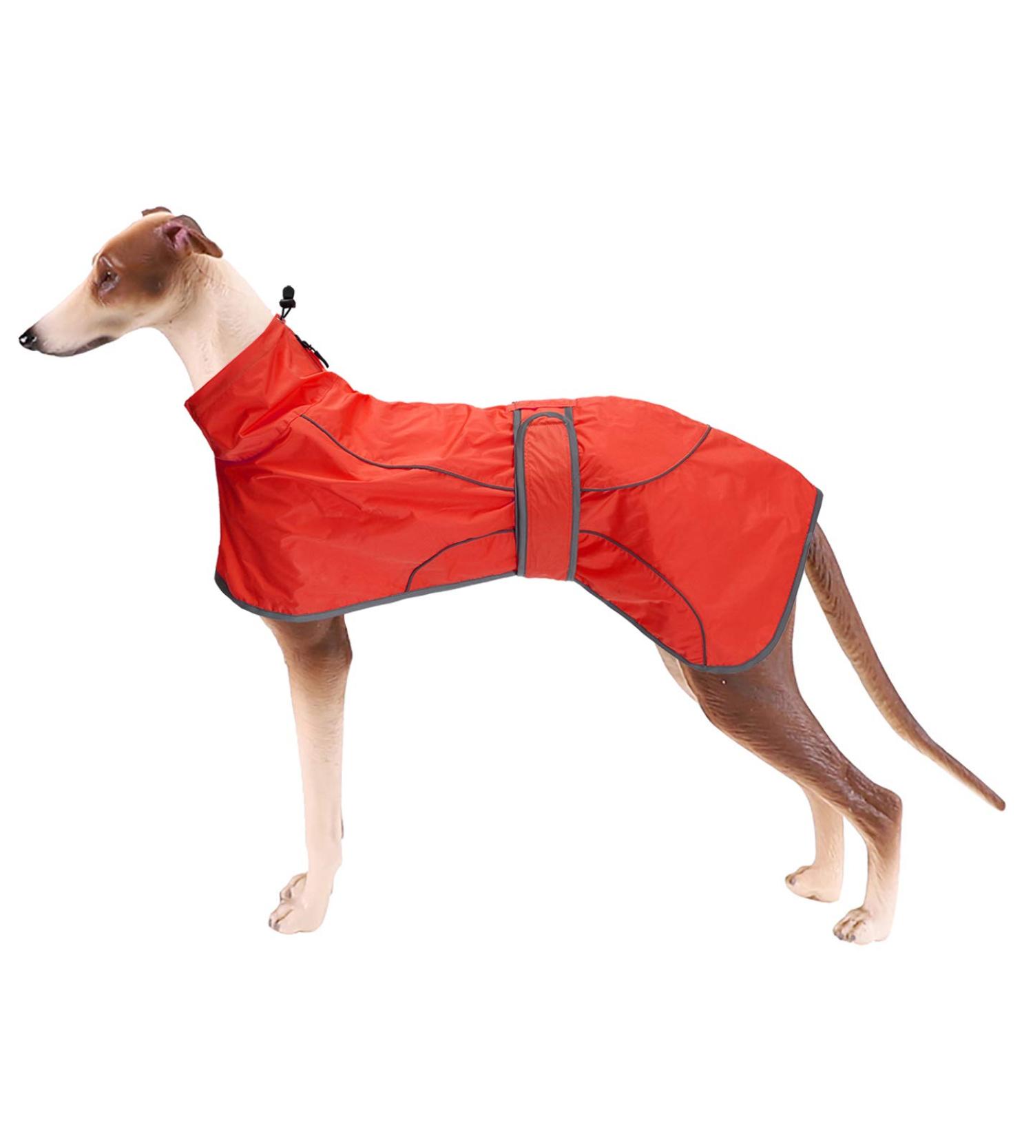 Greyhound Whippet Raincoat with Reflective Bar - Red, M Medium (56-58CM) | Waterproof Adjustable Vest for Stylish Greyhounds, Lurchers, and Whippets - Buy Online on GoSupps.com