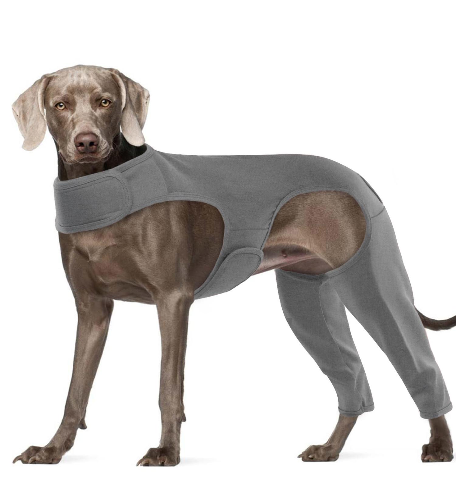 XXL Gray Dog Body Suit for Post-Op Recovery | Wound Protection for Dogs | E-Collar Alternative | Hjyokuso Dogebody - Buy Online on GoSupps.com
