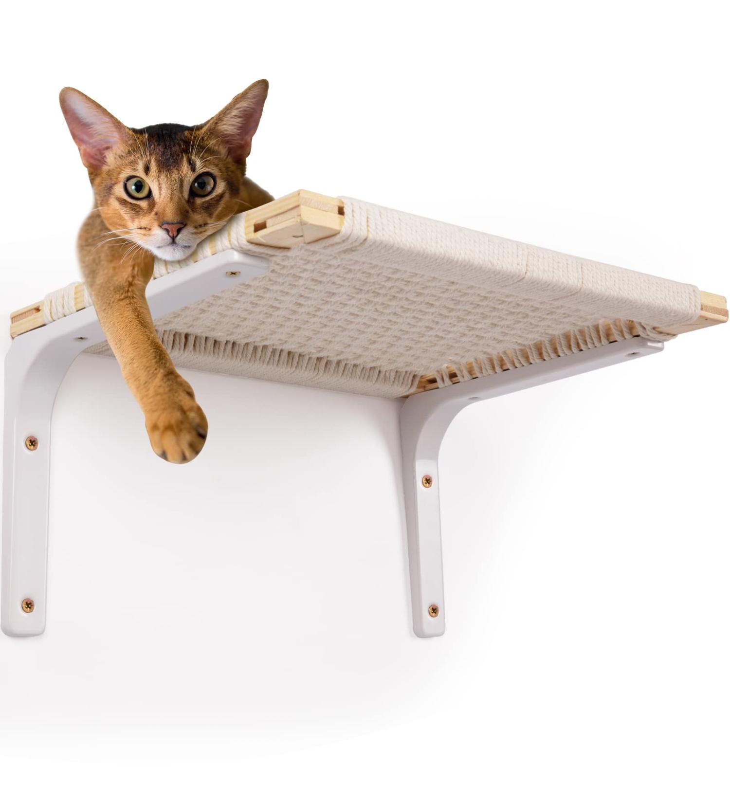 BEBOBLY Floating Cat Wall Shelves and Perch | Modern Hanging Hammock Bed for Indoor Cats | Wall Mounted Kitten Furniture for Sleeping and Playing - Buy Online on GoSupps.com