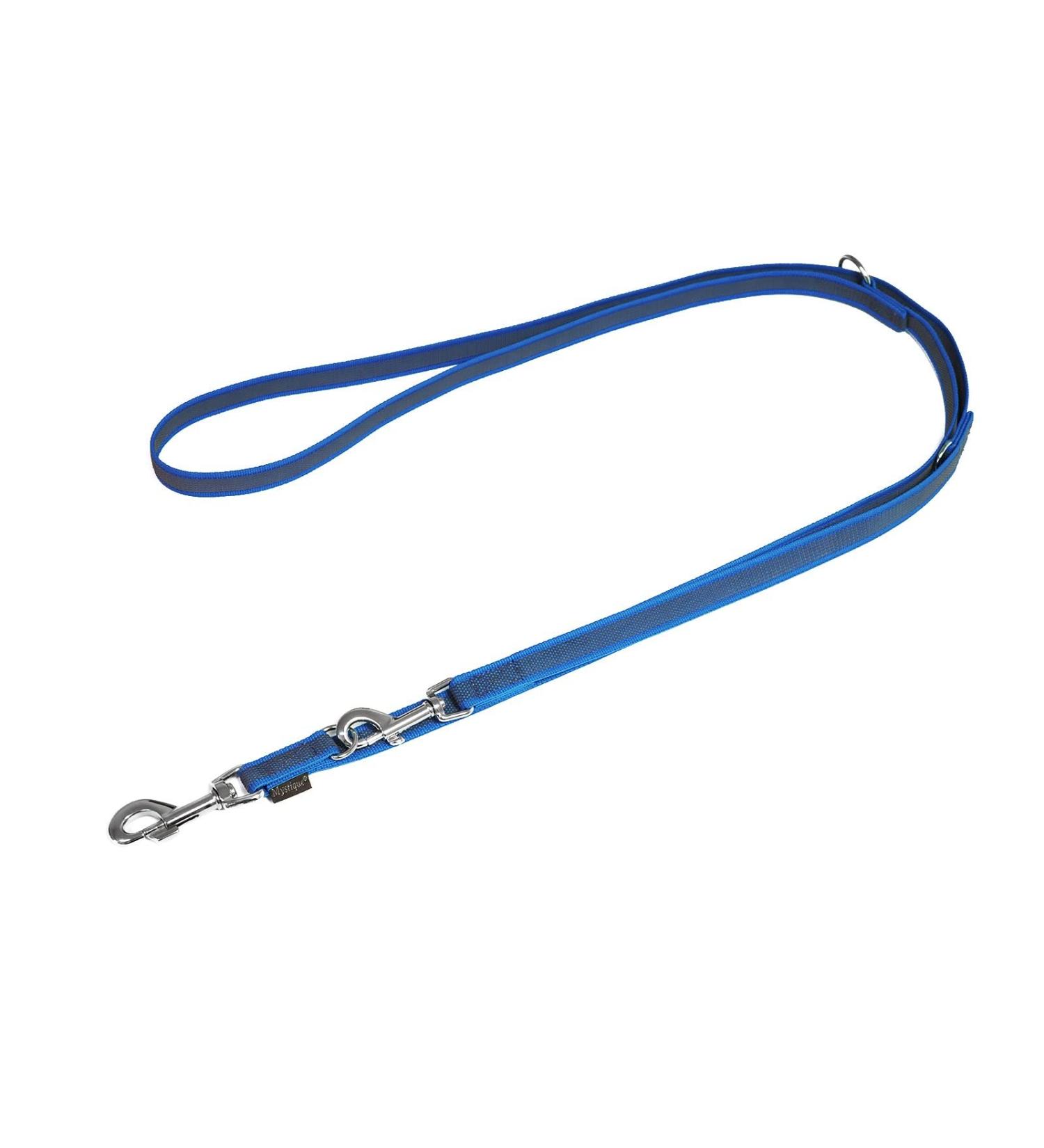 Mystique Rubberized Leash 20mm Standard Carabiner blue 2m 2m blue