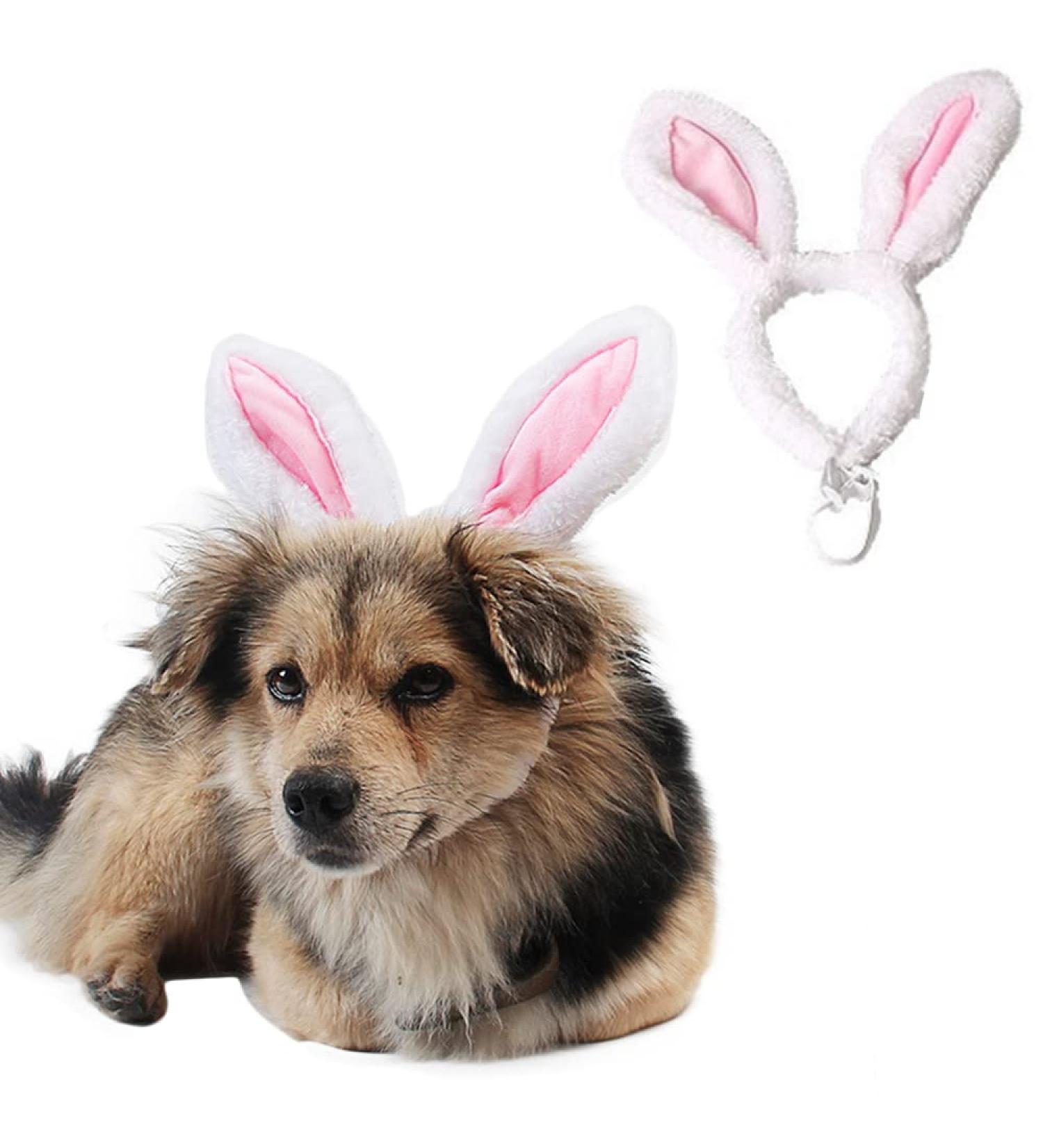 ANIAC Pet Bunny Ears Headgear for Cats and Small Dogs - Easter Costume Headband (Small/Head Girth 9.5-11) - Buy Online on GoSupps.com