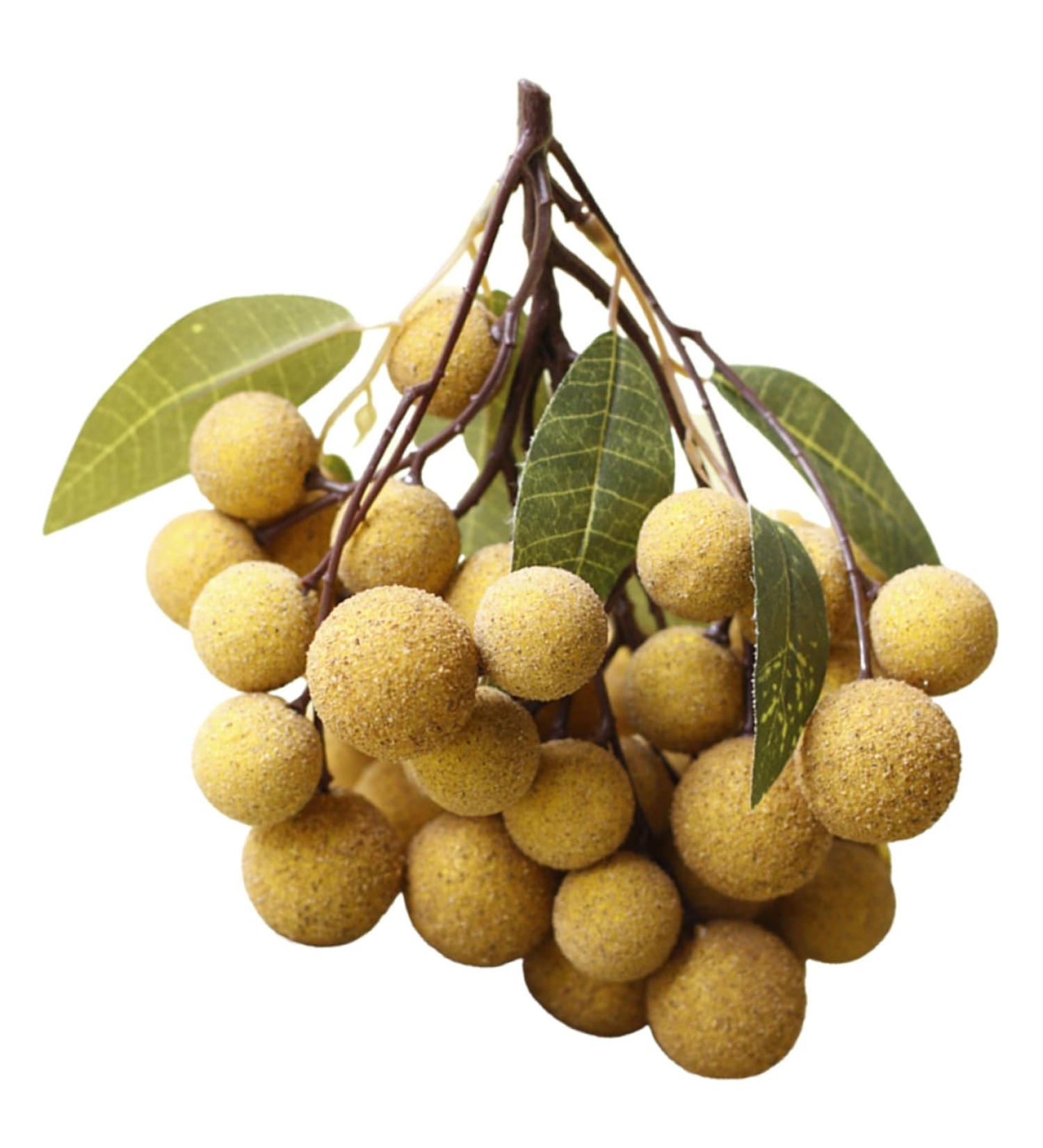 Ciieeo Doll House Diy Toy Fake Longyan Model Kitchen Fruit Longan Model Fruit Photography Props Fake Longan Decor Simulation Fruit Simulation Fake Fruit Faux Fruit Plastic Peach Miniature Khaki 18x18cm - Buy Online on GoSupps.com