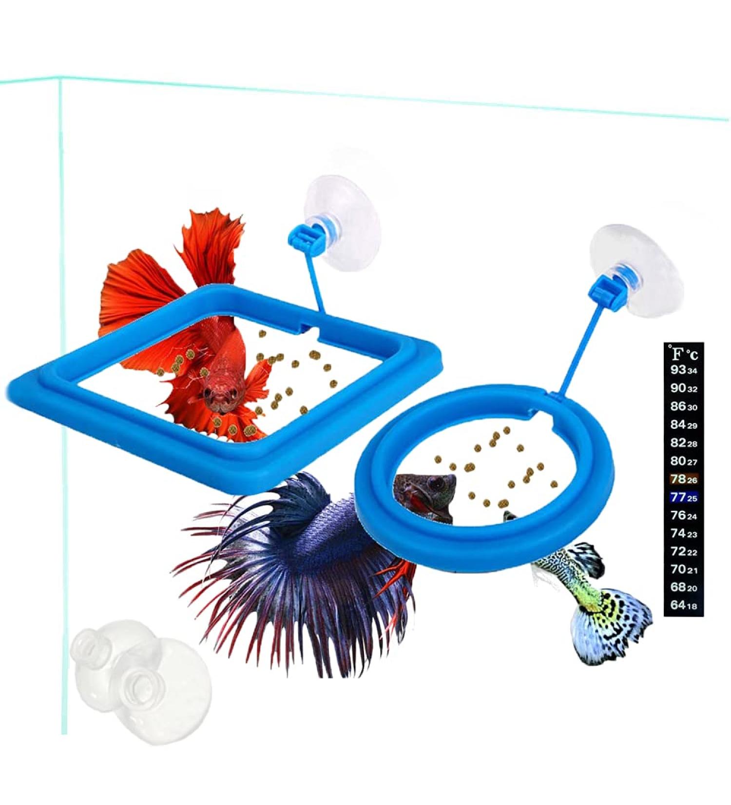 Fish Feeding Ring - Blue Floating Food Feeder with Suction Cup for Aquarium - Ideal for Guppy, Betta, Goldfish - Square and Round Shape Fish Tank Towels - Buy Online on GoSupps.com