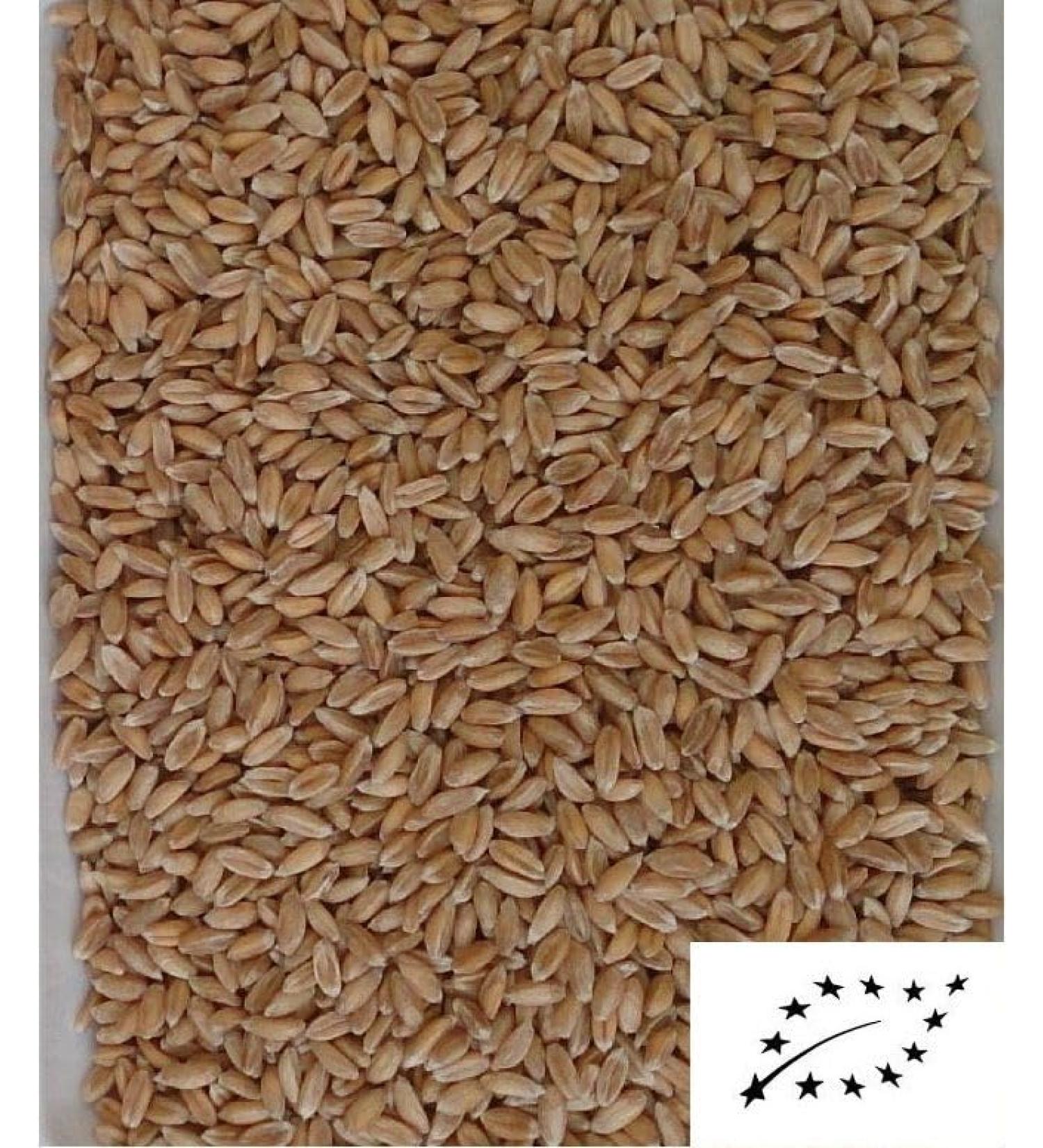 1kg organic spelt kernels loose Top quality! Gently cleaned! Thermally treated!