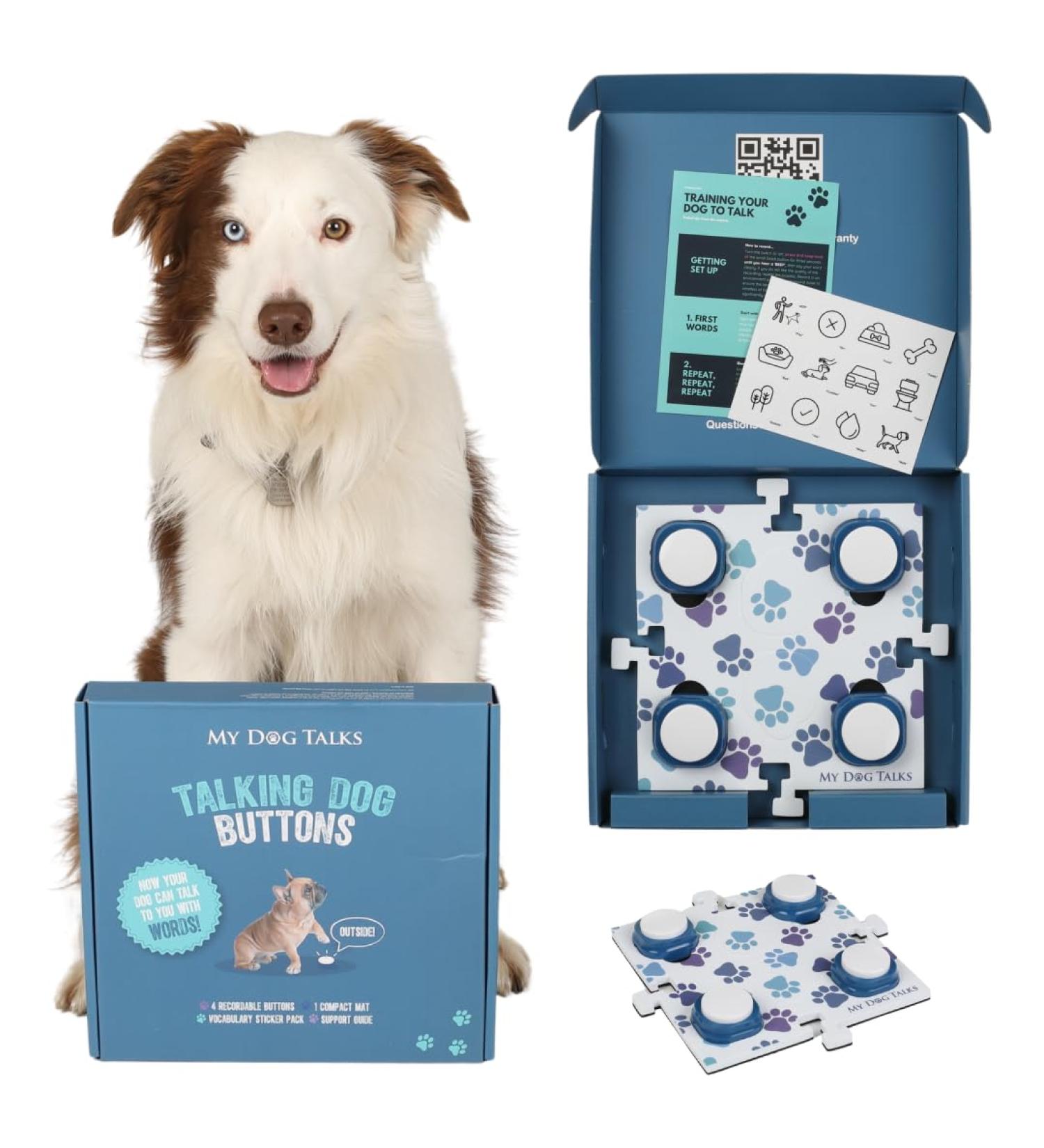 Dog and Cat Communication Training Buttons | MyDogTalks (4 Talking Dog Buttons + Mat) - Buy Online on GoSupps.com