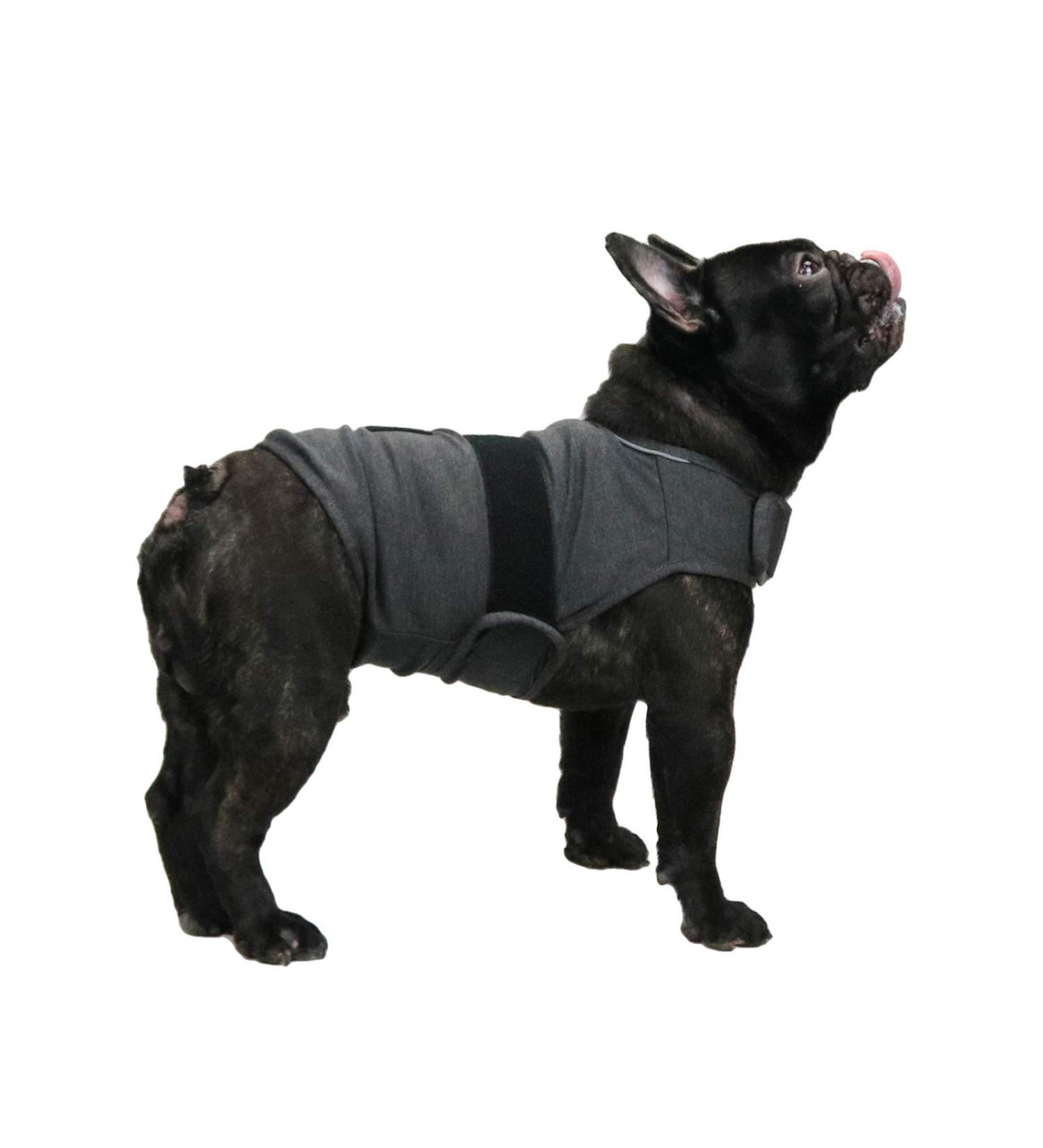 Comfortable Dog Coat for Anxiety Relief | Cattamao Calming Vest for Thunder | XS to XL Medium Gray - International Shipping Available - Buy Online on GoSupps.com