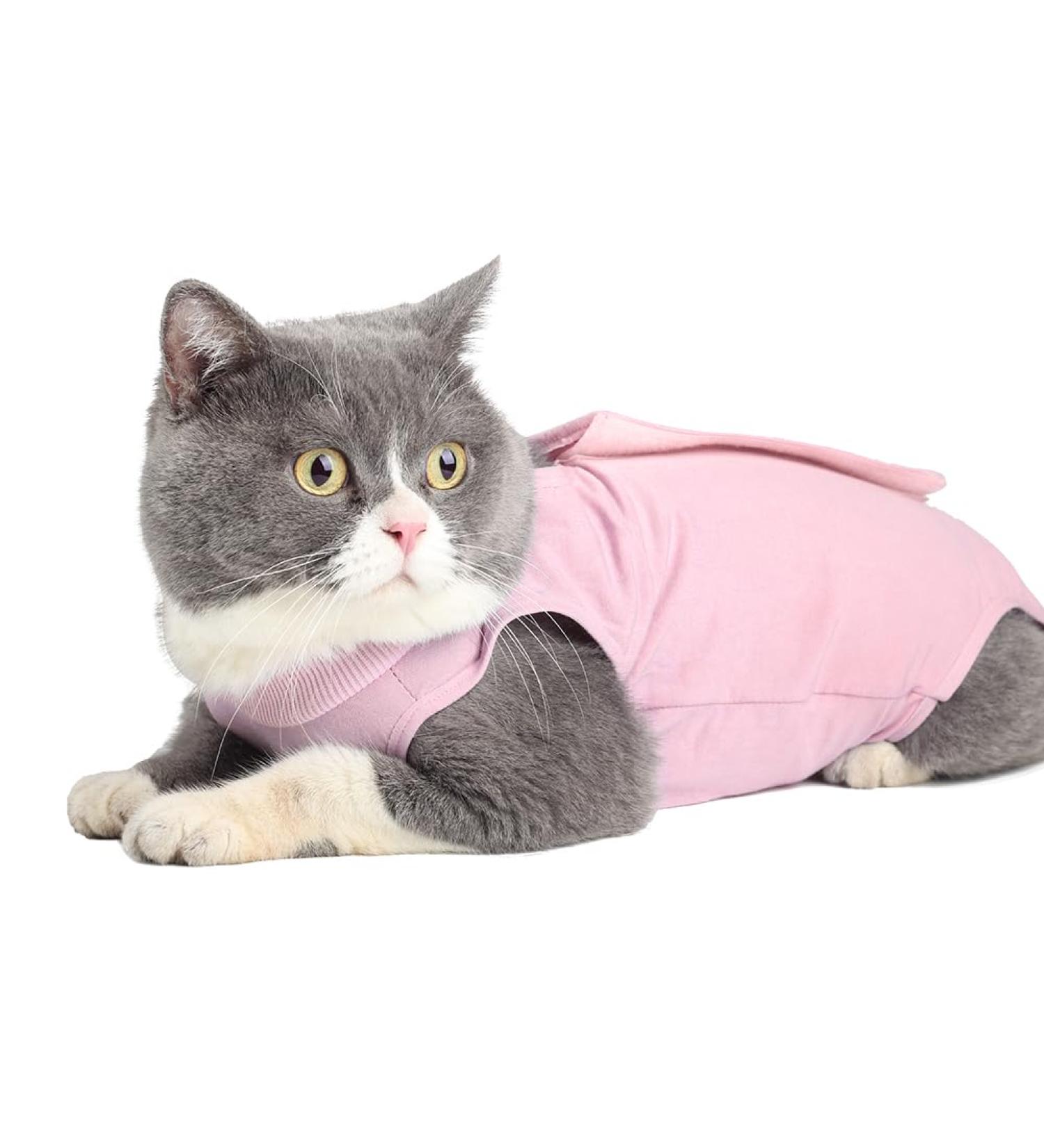 Easy Joy Recovery Suit for Cats | Postoperative Litter Clothing for Abdominal Wounds & Skin Diseases | Soft Indoor Pet Apparel (Small Pink) - Buy Online on GoSupps.com