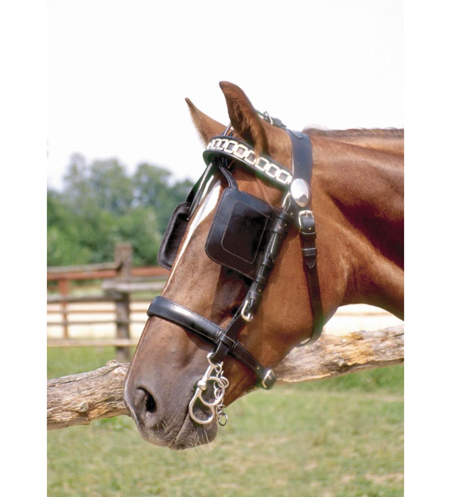 AMKA Driving Bridle for Warmbloods - Harness Head Frame with Blinkers & Chain Browband | International Shipping Available - Buy Online on GoSupps.com
