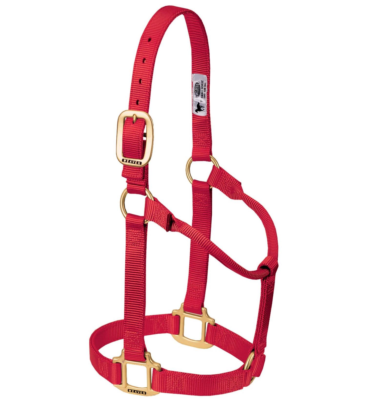 WEAVER Leather Non-adjustable Halter Red/Outing Solid (Getaway Solids) Weanling/Pony