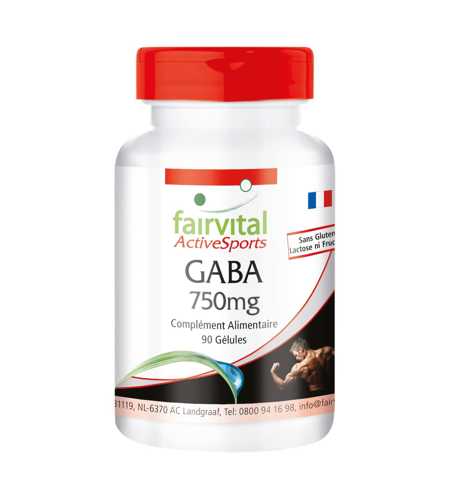 Fairvital | GABA 750mg - for 45 DAYS - 1500mg per daily dose - VEGAN - 90 capsules - -aminobutyric acid - Buy Online on GoSupps.com