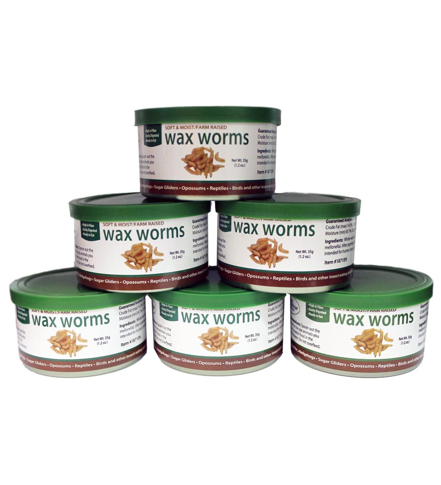Exotic Nutrition Canned Wax Worms 35 g/ 1.2 oz (6 Pack) - Buy Online on GoSupps.com