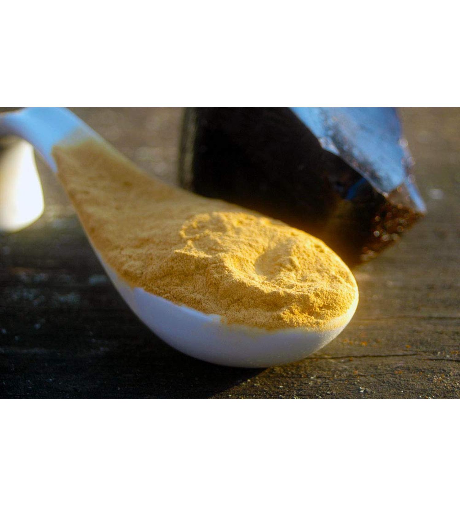 Holger Senger Naturix24 Lacquer powder lactrate ground 500 g bag