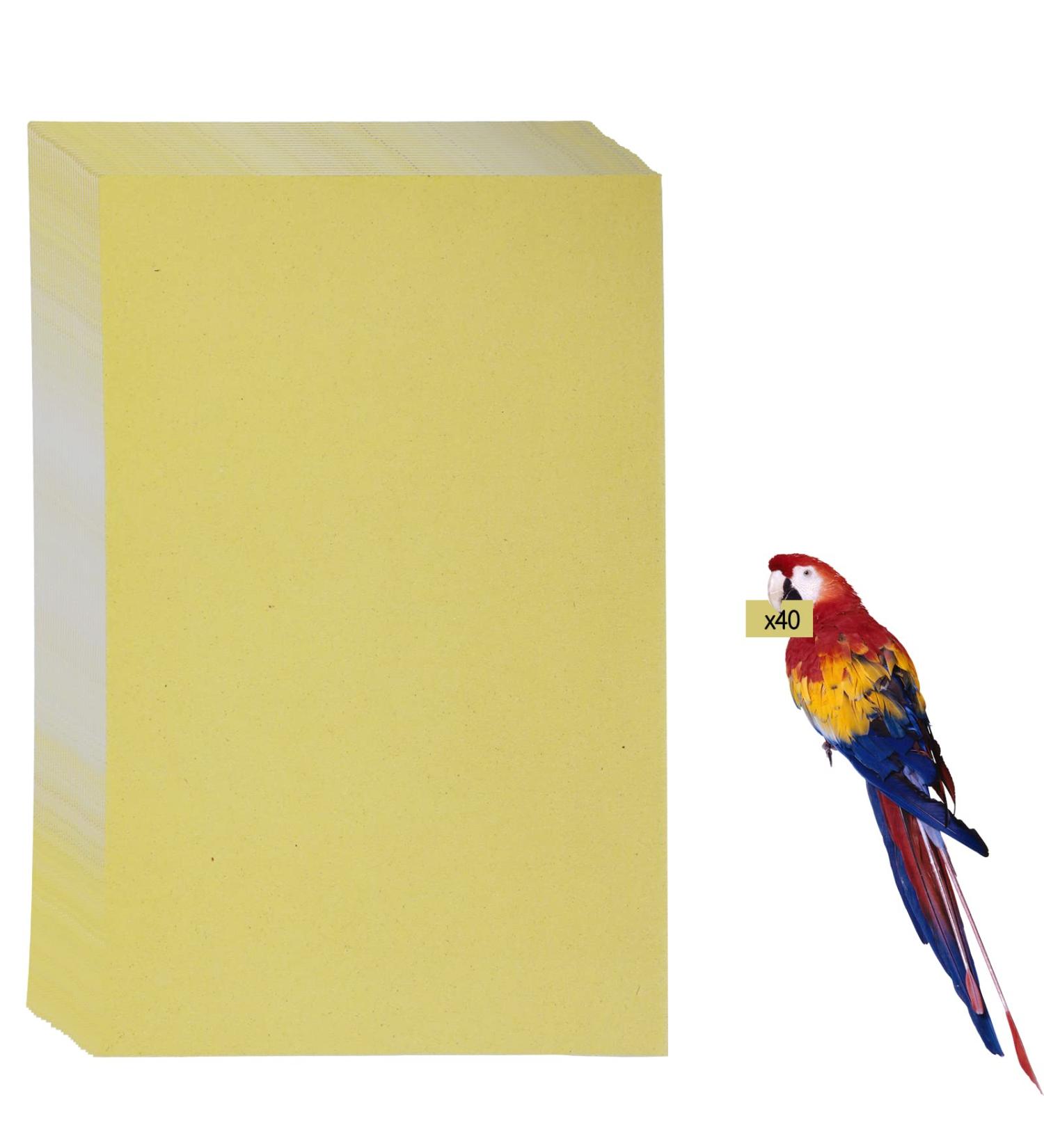 Nuatpetin Gravel Paper for Bird Cage 40 Pcs 11x17 Bird Cage Paper Liner Large Sand Calcium Paper Bird Grinding Sandpaper Disposable Clean Cushion Pads Sandpaper for Parrot Budgie Conure Cockatiel 40 Pcs Goose yellow - Buy Online on GoSupps.com