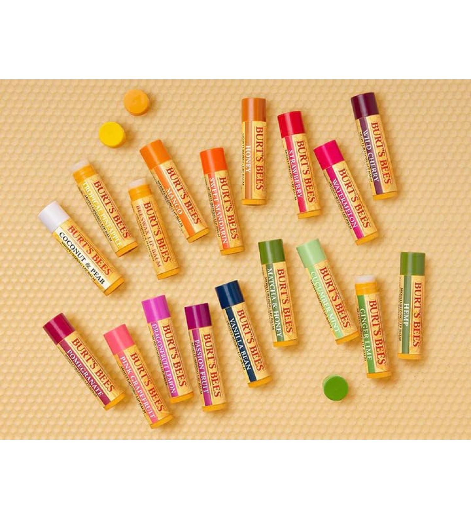 Burt's Bees 12 Count Lip Balm Variety Gift Pack -Stocking Stuffer - Assorted Flavors - Flavors Choosen at Random