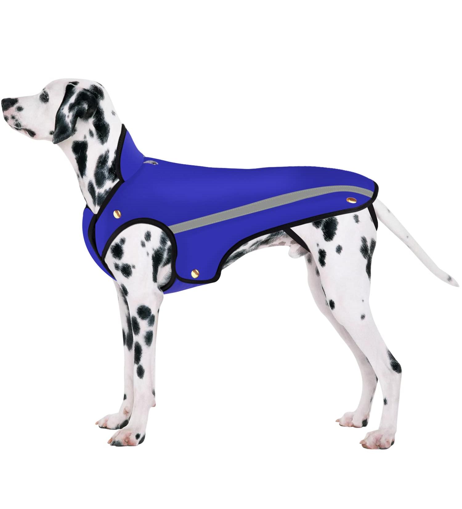 Slowton Winter Dog Jacket | Soft Flannel Coat with Adjustable Fit | Waterproof & Windproof | Reflective Stripes | Warm L Blue - Buy Online on GoSupps.com