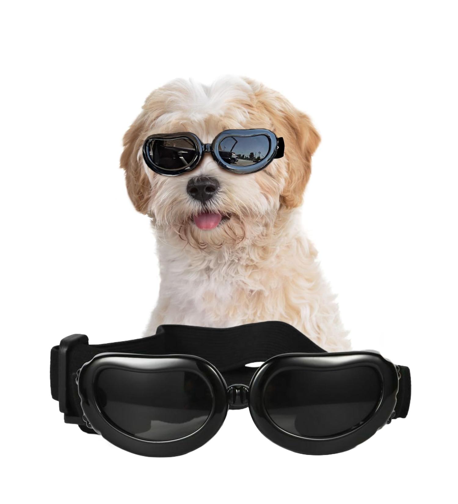 NAMSAN Dog Sunglasses - UV Protection & Waterproof Adjustable Glasses for Small Dogs & Cats - Black - Buy Online on GoSupps.com