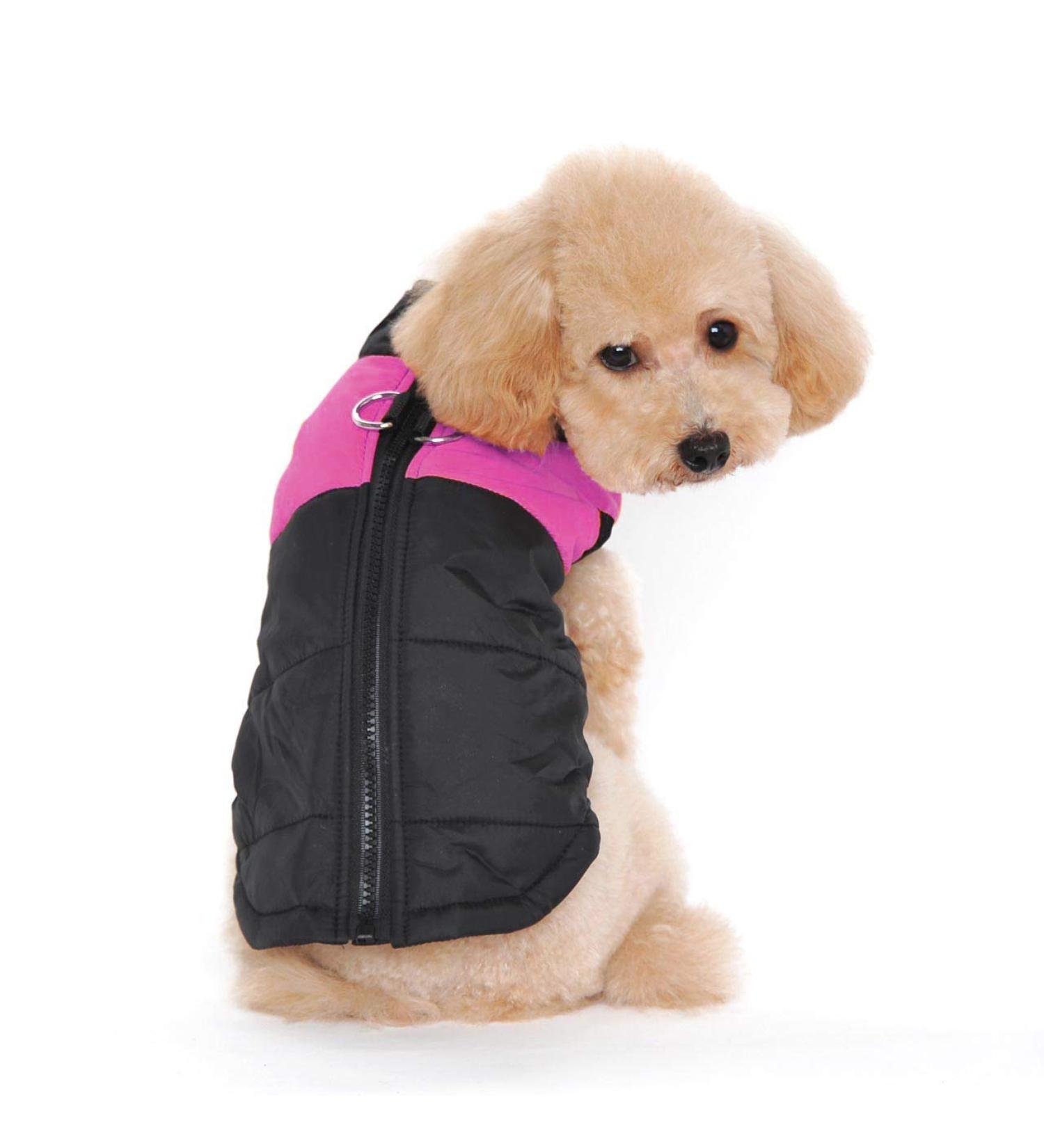 Ectkuee XL Rose Winter Warm Waterproof Dog Coat - Quilted Padded Puffer Jacket for Small Pets | Shop Internationally - Buy Online on GoSupps.com