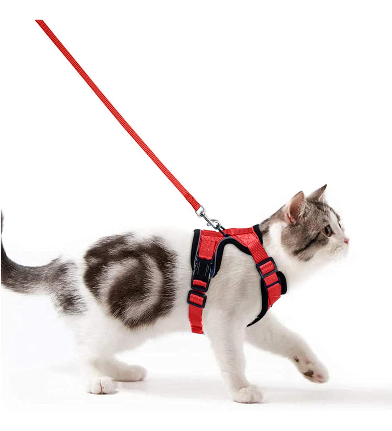 Breakproof Cat Dishes & Adjustable Soft Vest Set for Small Kittens | Reflective Stripes | Red XXS - Buy Online on GoSupps.com