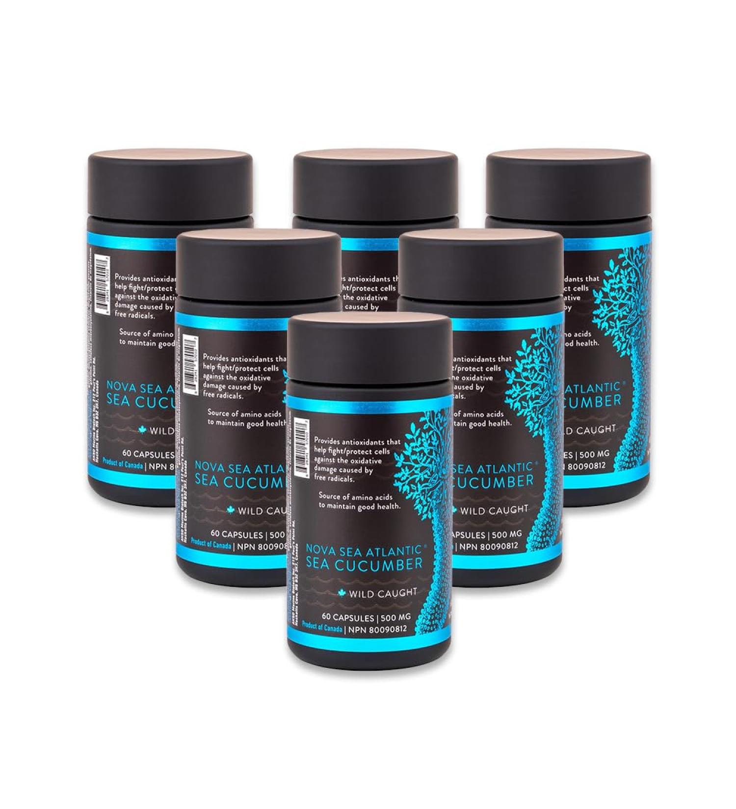 Nova Sea Atlantic Sea Cucumber Supplement Wild Caught Sea Cucumber Capsules with Fucosylated Chondroitin Vitamins Mineral Natural Antioxidant Supplement for Elderly Adult Child (Pack of 6) 60 count (Pack of 6) - Buy Online on GoSupps.com