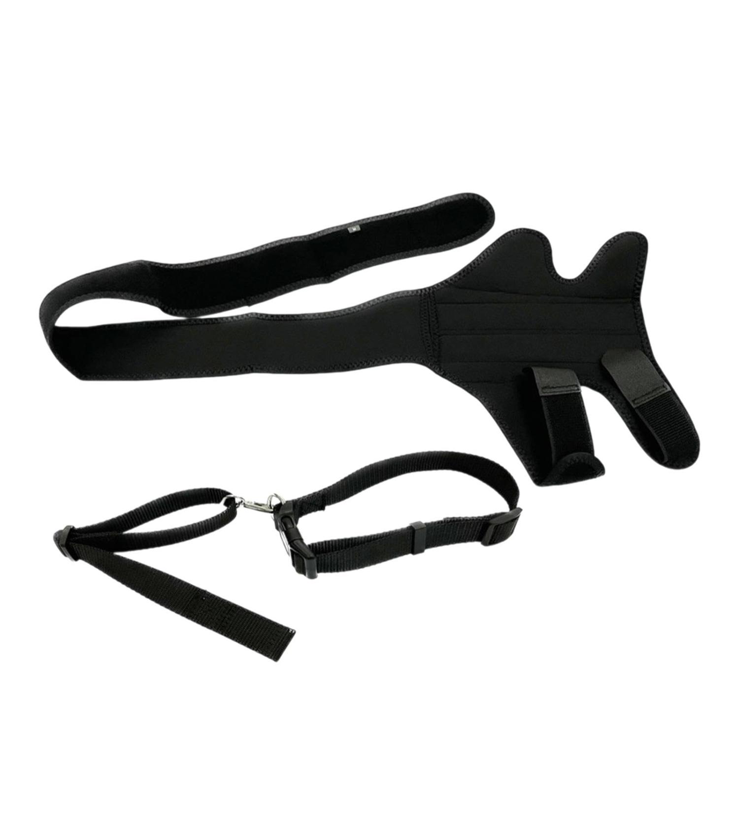 WeiLaiKeQi Dog Knee Brace for Improved Stability and Flexibility S 11.9 to 22.6cm - Buy Online on GoSupps.com