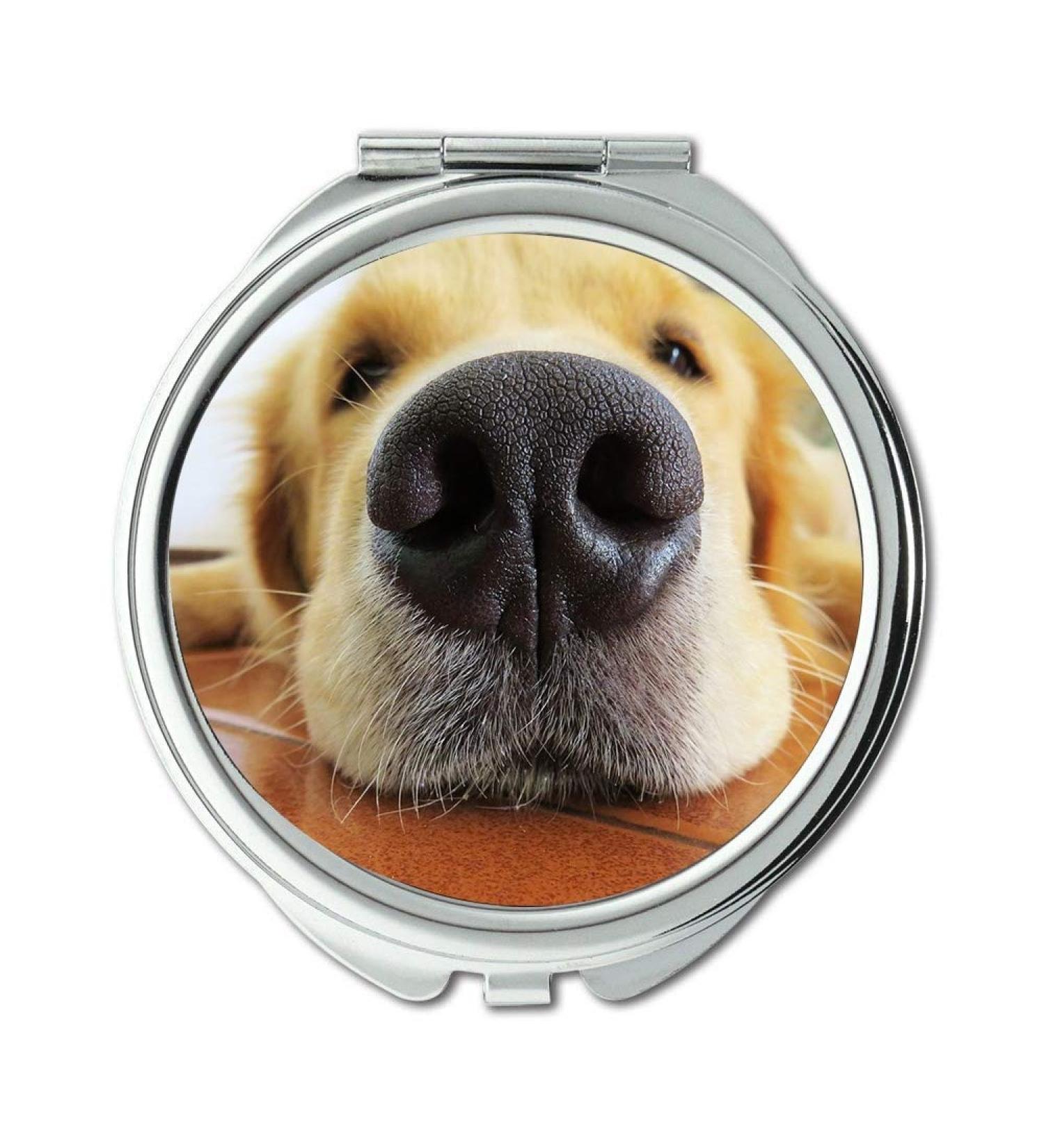 Mirror makeup mirror Fu a Muzzle Dog Golden Retriever Animal Race Nose gaming mouse mat Pocket Mirror portable mirror - Buy Online on GoSupps.com