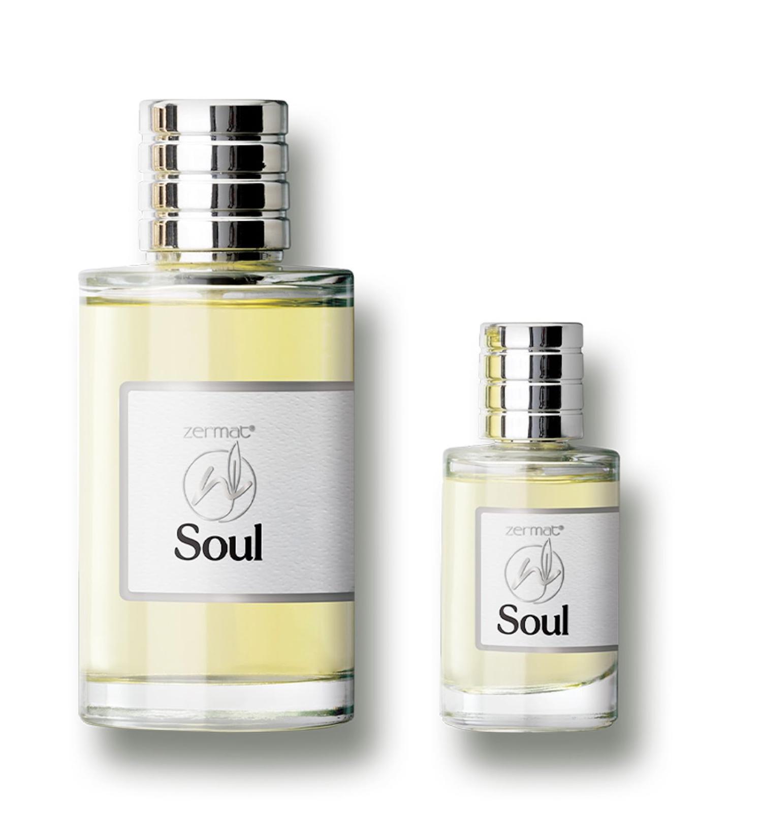 Zermat Soul Men's Fragrance Duo - Fresh Herbal Scent - 3.55 Fl. Oz & Miniature 0.85 Fl. Oz - Unleash Your Inner Confidence - Buy Online on GoSupps.com