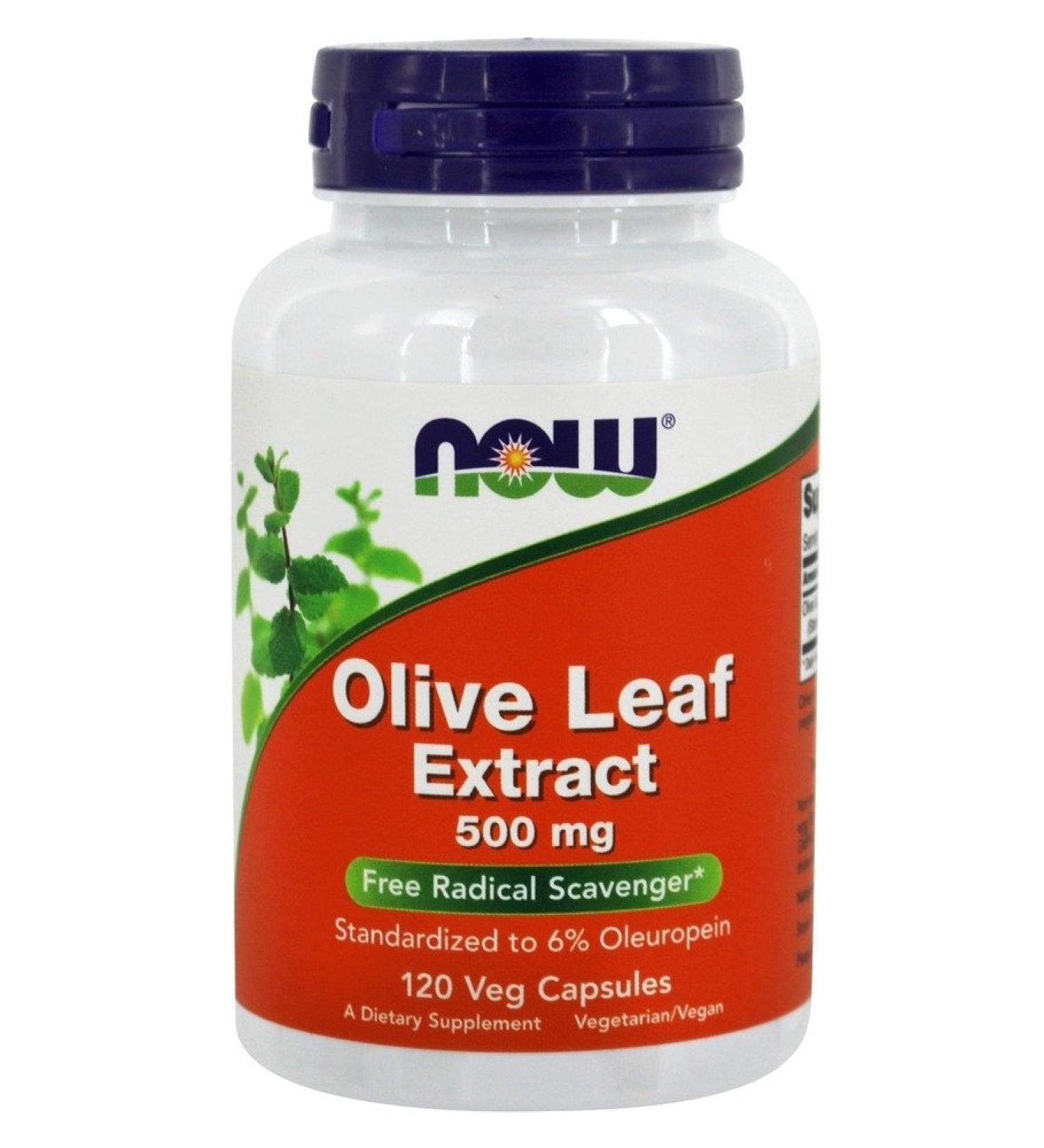 Now Foods Olive Leaf Extract 500 mg 120 VCaps ( Multi-Pack) - Buy Online on GoSupps.com