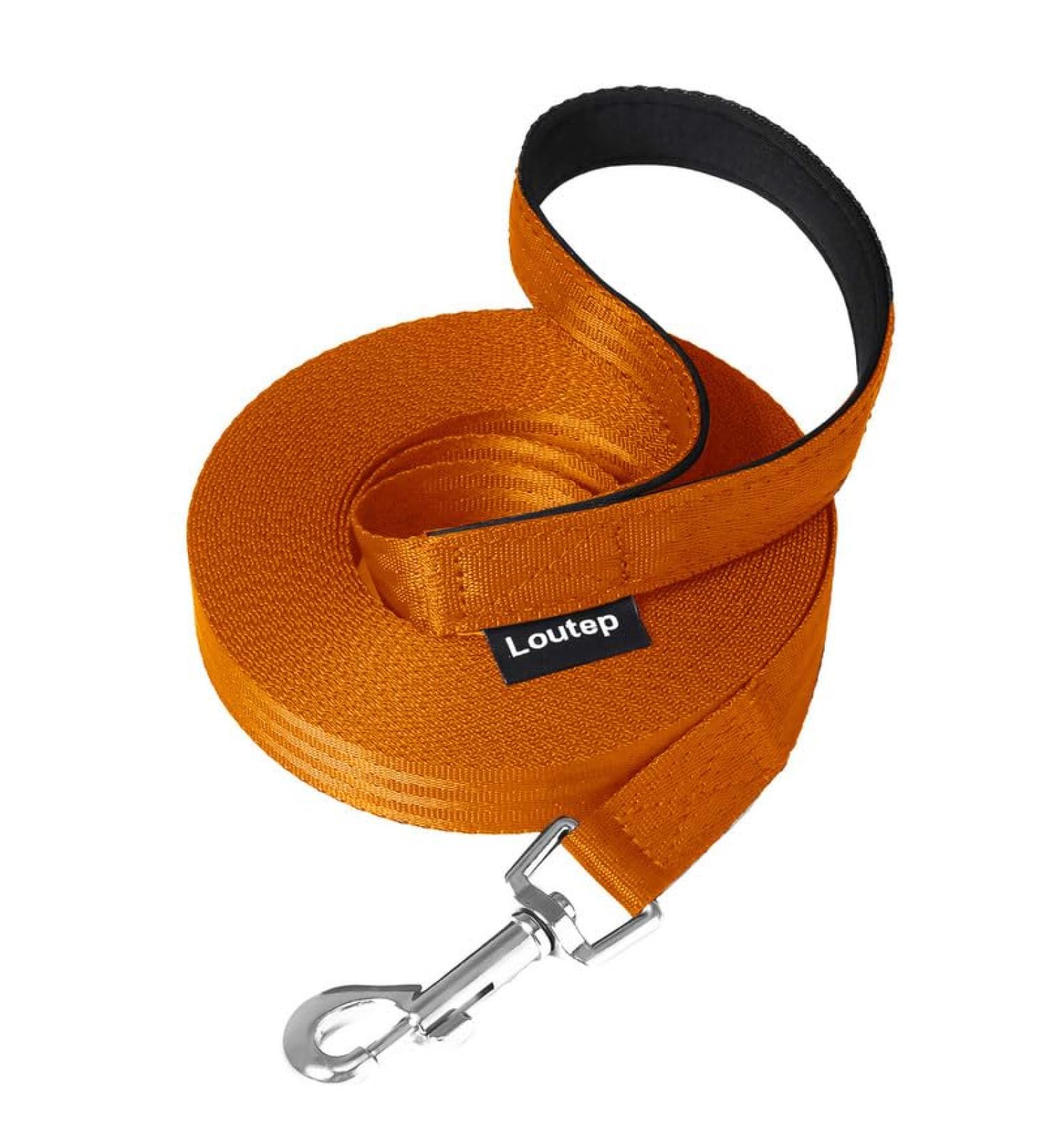 Loutep 100ft Dog Training Lead - Durable Nylon Long Line with Padded Handle & Heavy-Duty Hook - Perfect for Obedience Training Red & 15M Orange Options - Buy Online on GoSupps.com