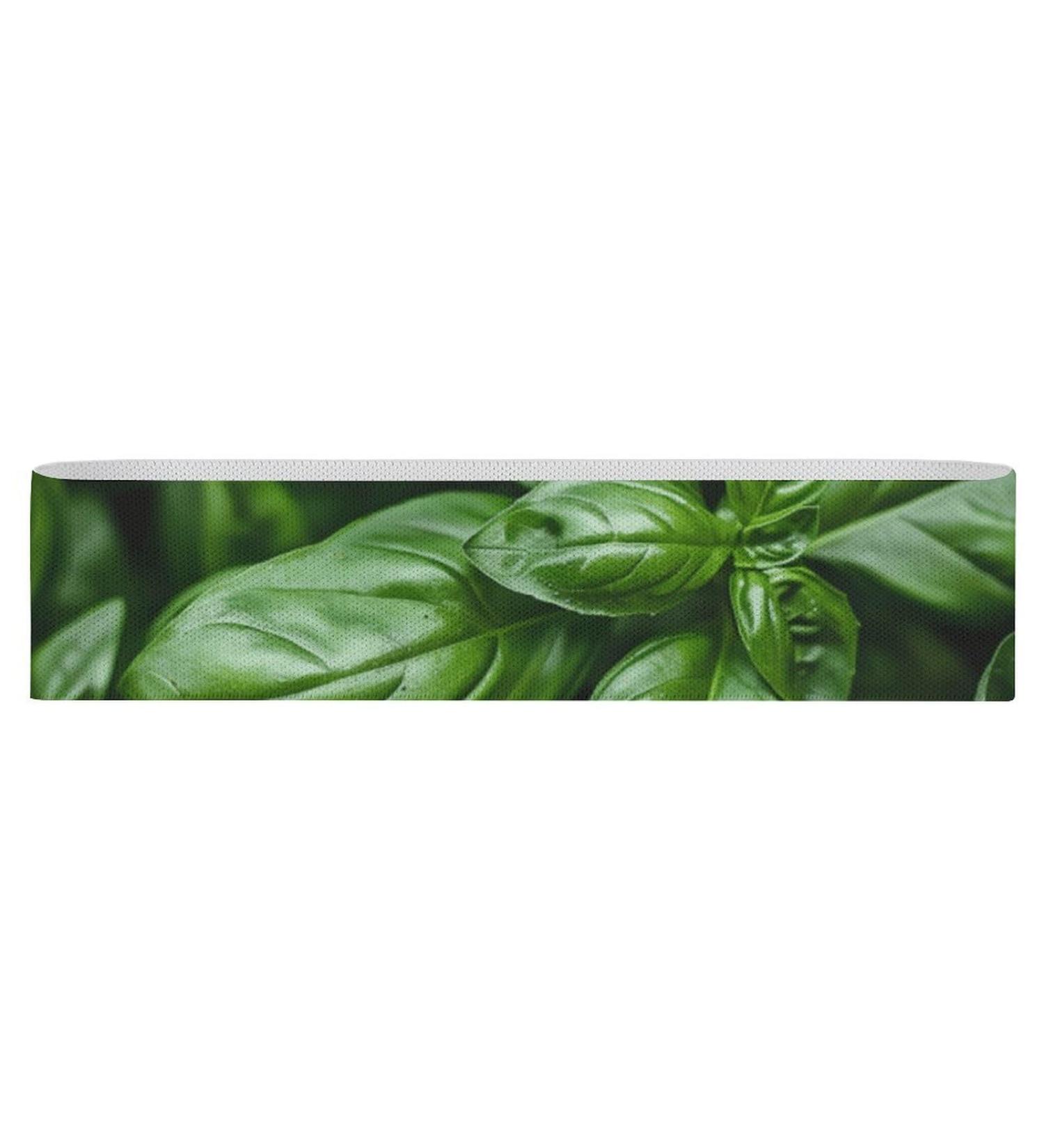 Vibrant Green Resistance Bands | Durable Printed Elastic & Fabric Exercise Bands for Ultimate Fitness - Buy Online on GoSupps.com