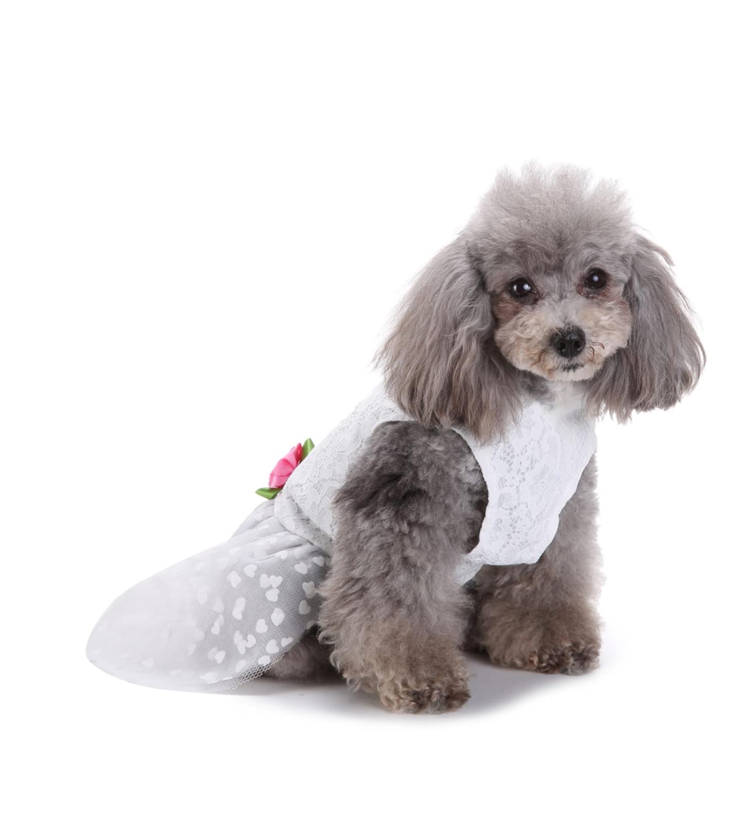 Shop Petcute Dog Dress | Elegant Bowknot Summer Dress for Small Dogs | Beautiful Flower Puppy Skirts & Lace Tutu Wedding Attire - Buy Online on GoSupps.com