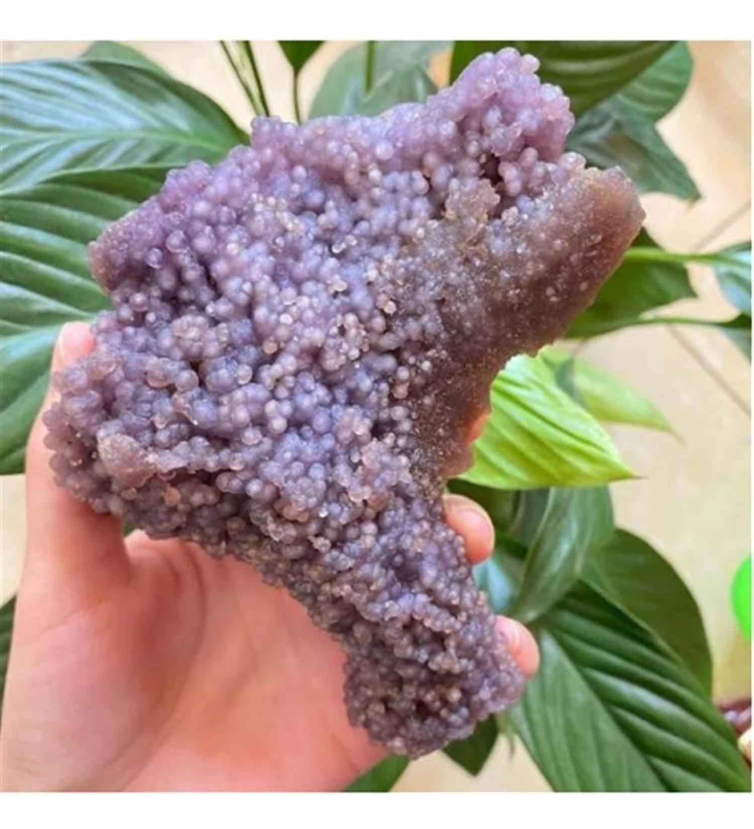 Room Decoration Home Decoration Natural Grape Agate Crystal Specimen Home Decor Stones (Size : 120-140g) - Buy Online on GoSupps.com