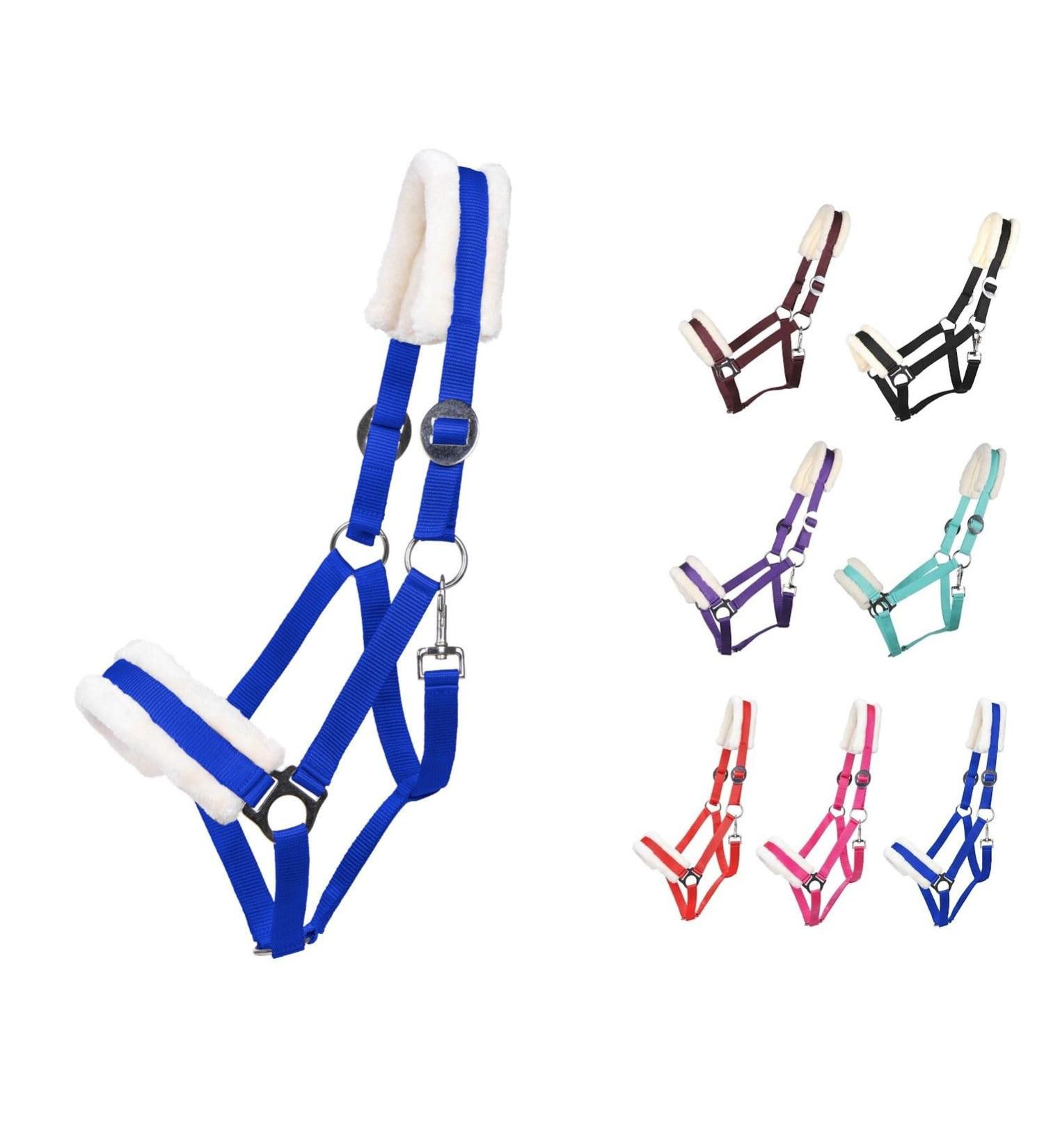 Netproshop Solid Horse Halter - Padded & Adjustable for Mini Shetty to Full U Cold Blood - Cobalt Blue - Buy Online on GoSupps.com