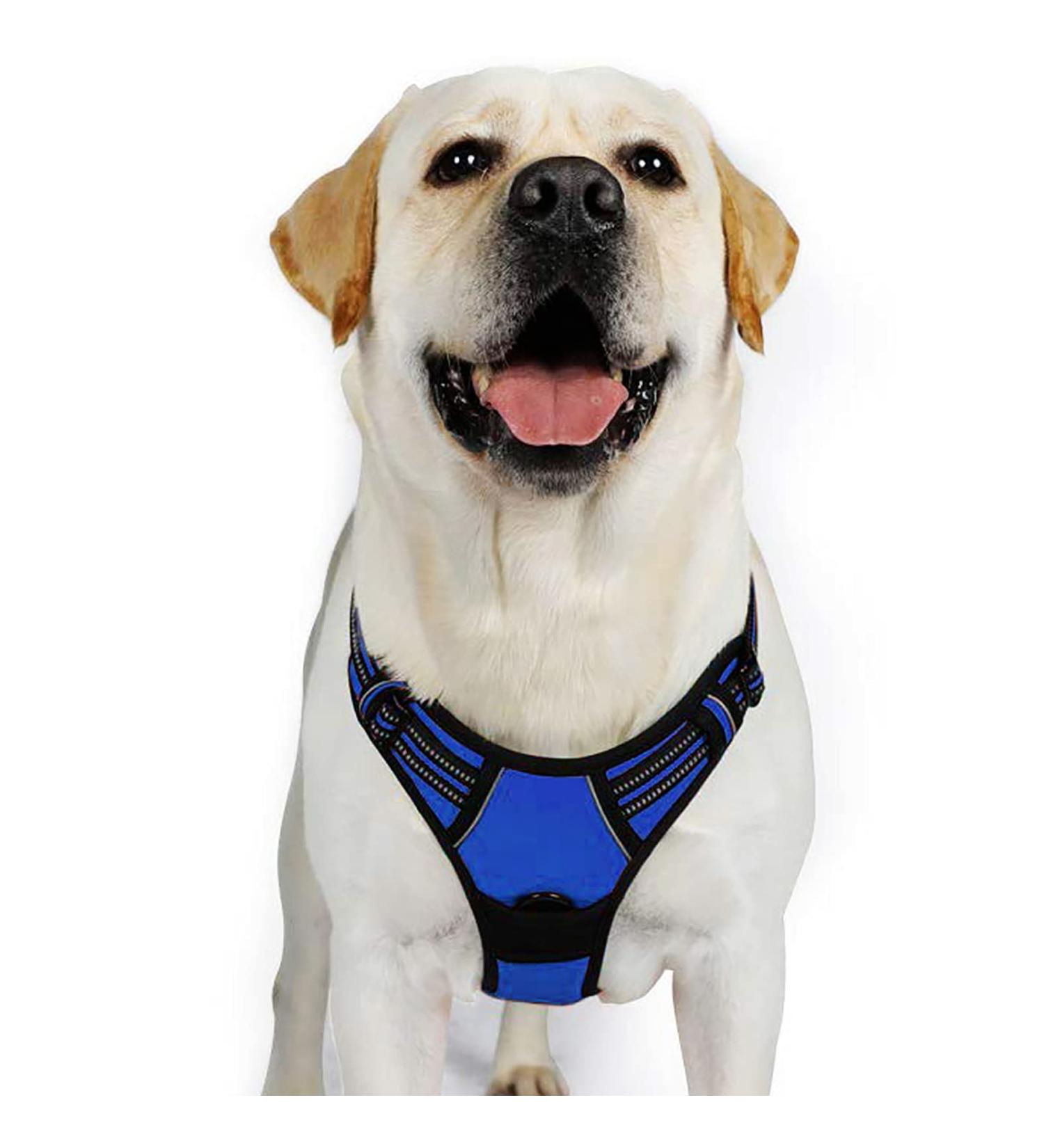 Rabbitgoo No Pull Dog Harness for Medium & Large Dogs - Adjustable Breathable with Reflective Stripes - Safe & Comfortable Control (Blue XL) - Buy Online on GoSupps.com