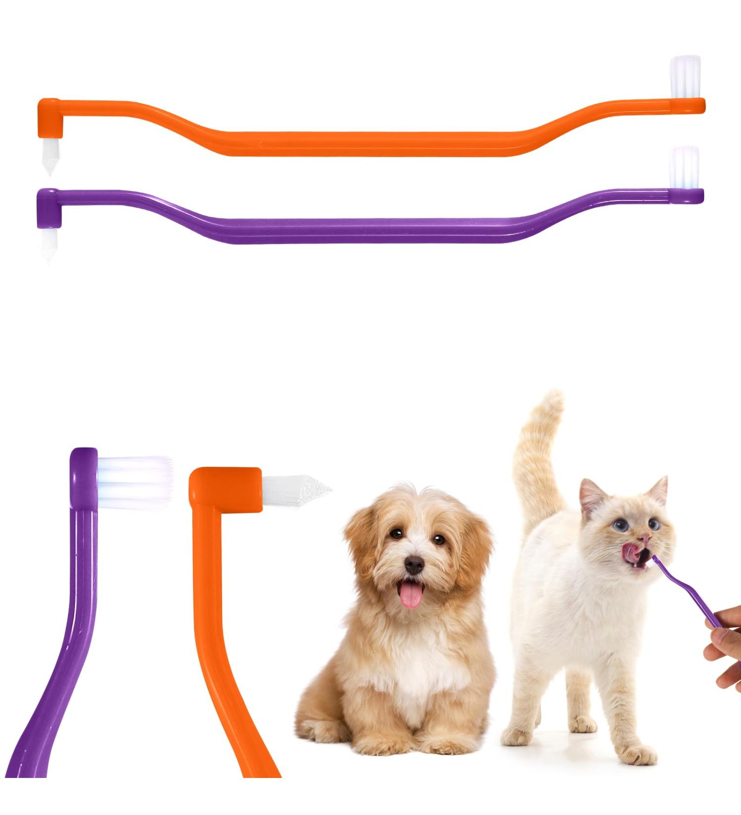Double-Sided Cat Toothbrushes - 2 Pack Kitten Dental Care Brush with Microbe Head & Curved Handle - Purple & Orange - Buy Online on GoSupps.com