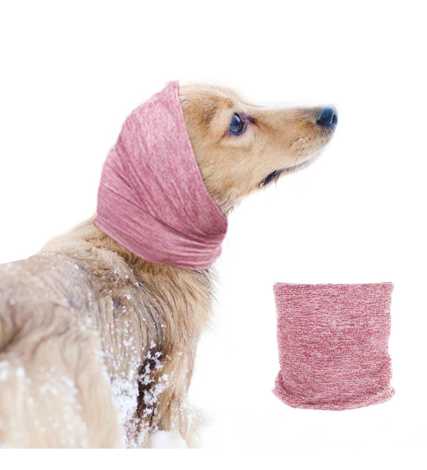 Pattepoint Die Muffs - Noise Protection Earmuffs for Small Dogs | Comfortable Hooded Sweaters & Ear Warmers for Dogs & Cats | Anti-Anxiety Snood - Rosa M - Buy Online on GoSupps.com