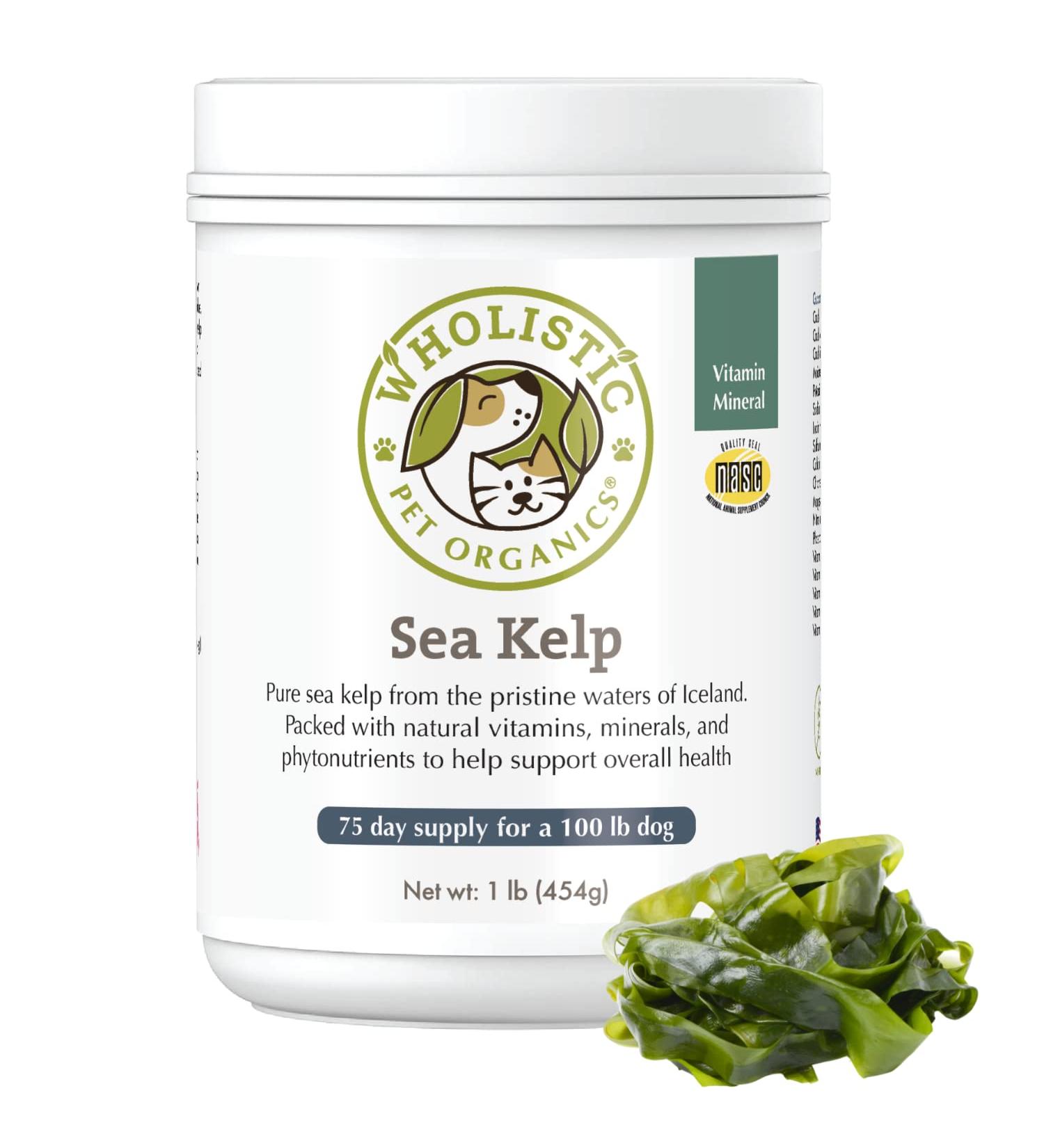 Organic Wholistic Pet Organics Sea Kelp Powder for Dogs - Promotes Healthy Teeth, Thyroid Function, Skin & Coat - Rich in Iodine, Iron, Calcium & Antioxidants - 1 lb - Buy Online on GoSupps.com