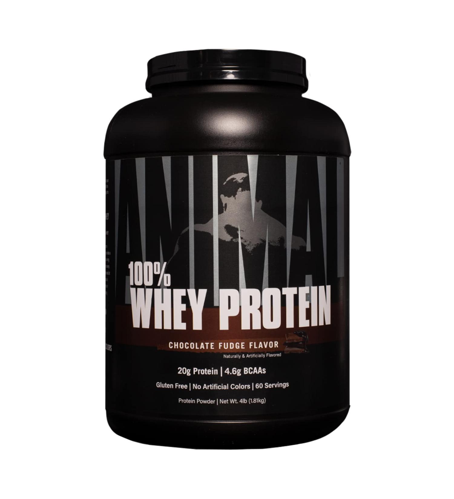 Animal 100% Whey Protein Powder - Chocolate Fudge 4 lb - Pre/Post-Workout Recovery Blend with Low Sugar - 100% Whey Protein for Anytime Boost - Buy Online on GoSupps.com