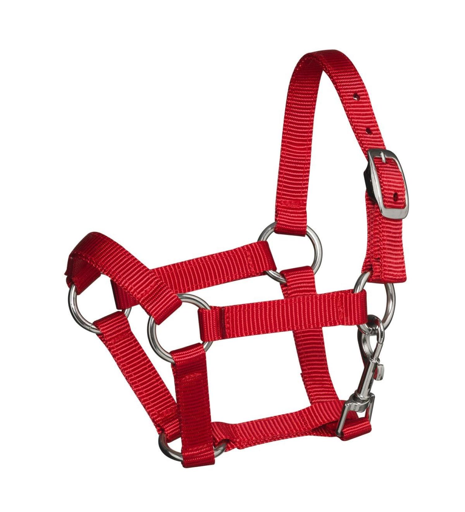 Panduro Hobby Horse Accesory| Halter | Red - Buy Online on GoSupps.com