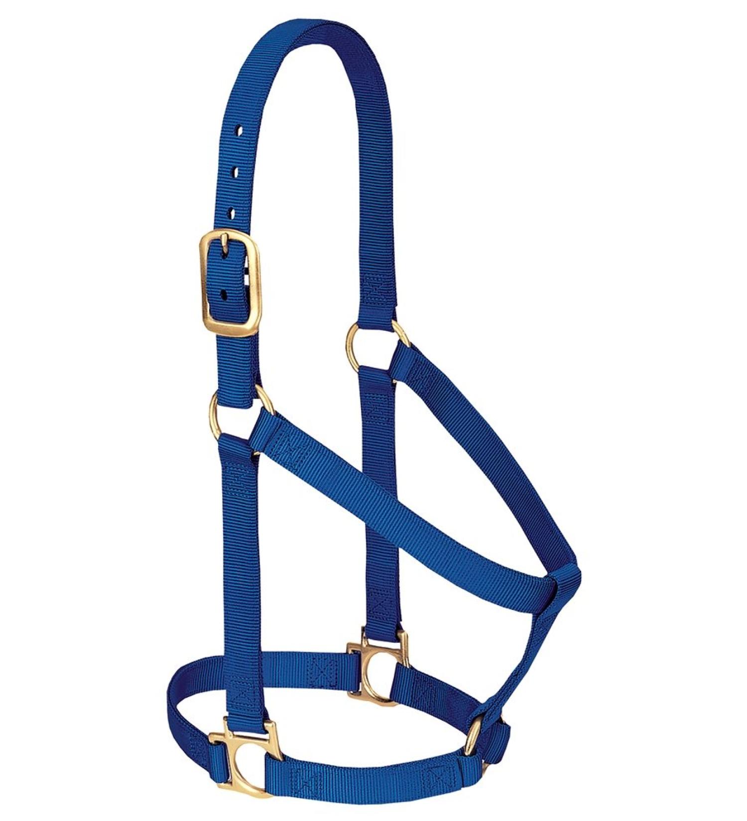 Weaver Leather Basic Non-Adjustable Nylon Horse Halter Average Horse Blue