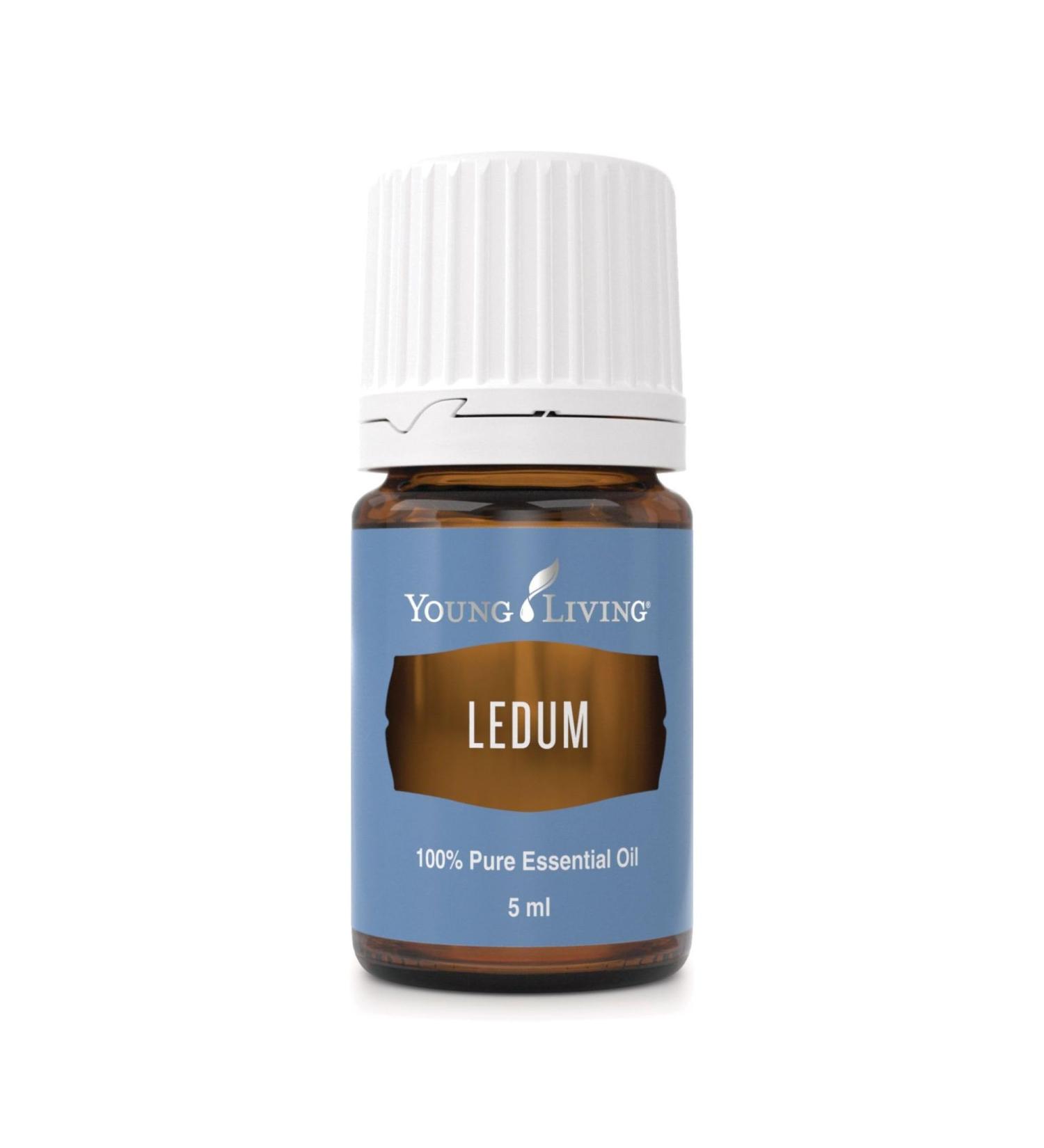 Young Living Ledum Essential Oil - 5ml | Natural Meditation & Yoga Diffuser Scent | Spiritual Cleansing & Harmonizing Aroma for Prayer & Massage - Buy Online on GoSupps.com