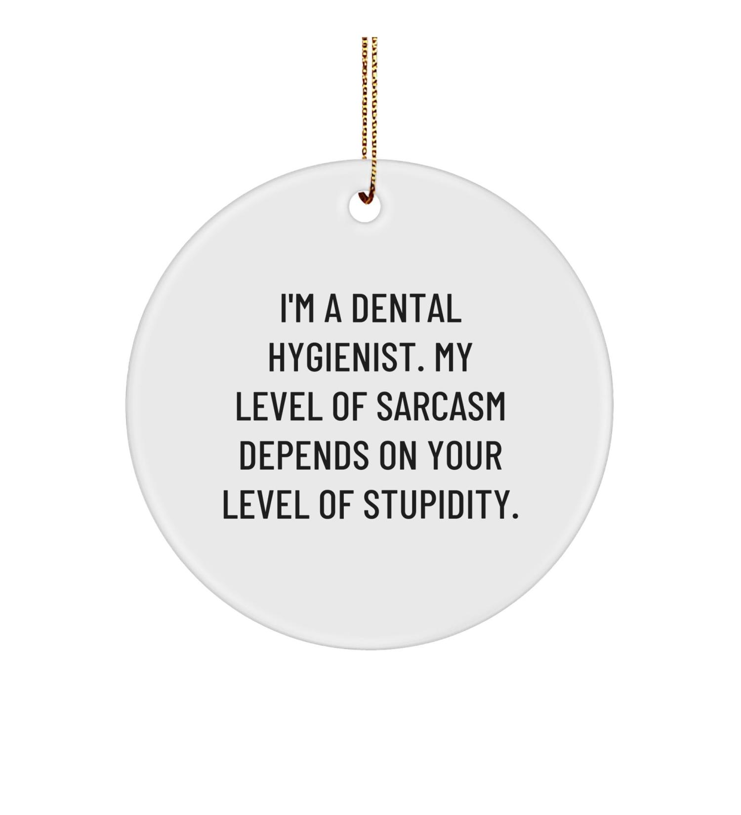 Dental Hygienist Sarcasm Circle Ornament Gifts from Men Women Friends Coworkers Family Funny Christmas Memorable Present for Dental Hygienist