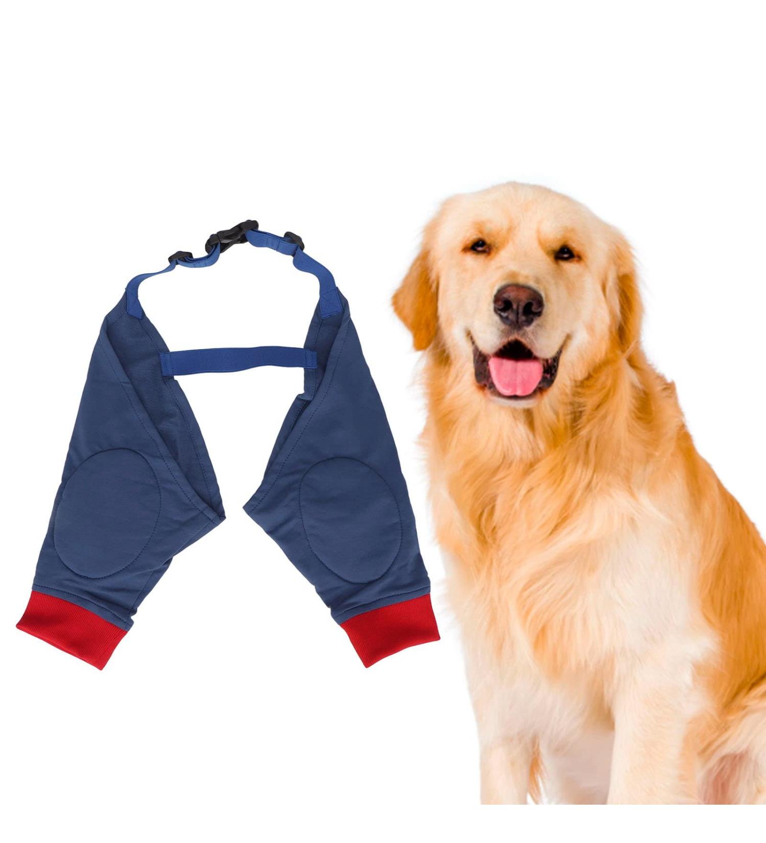 Dog Elbow Brace Protector Pads for Canine Elbow and Shoulder Support Elbow Hygroma Dysplasia Osteoarthritis Elbow Calluses Pressure Sores and Shoulder Dislocation (M) - Buy Online on GoSupps.com