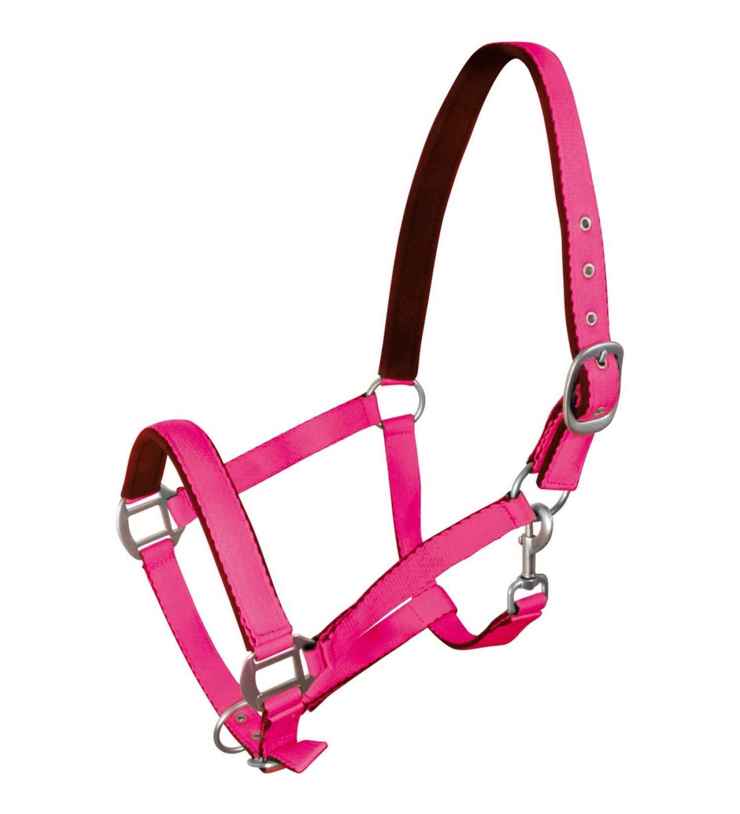 York Horse Halter Fluo soft padded stable halter pasture halter noseband (Cob pink) Cob pink