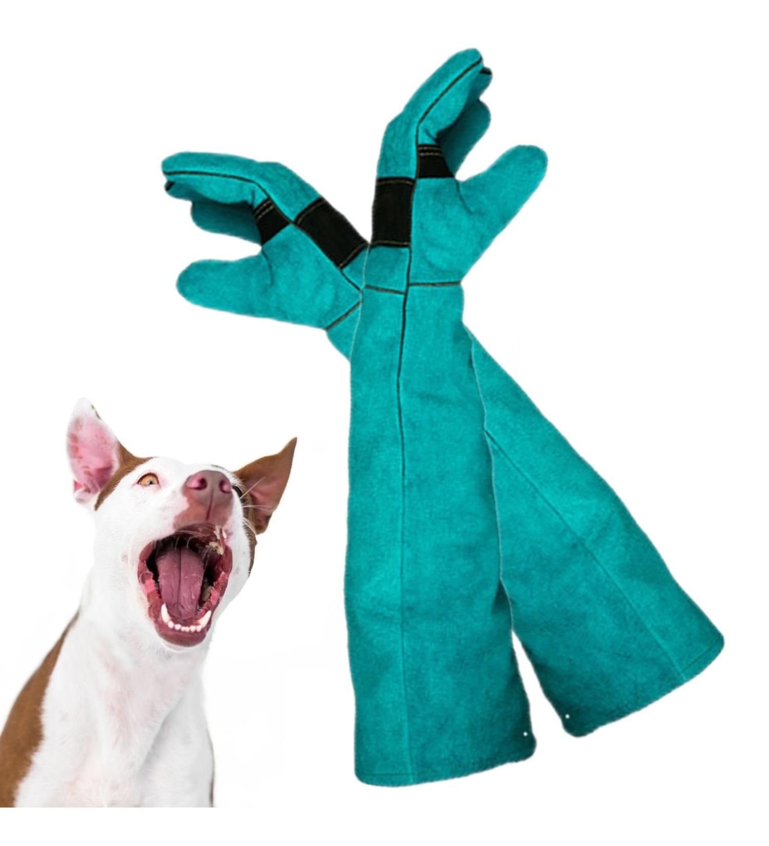 Anti Bite Protective Gloves Bite Resistant and Scratch Resistant Dog Training Gloves and Waterproof Pet Bath Gloves Scratch Resistant Protective Gloves Bite and Scratch Resistant Dog 60 Cm-green - Buy Online on GoSupps.com