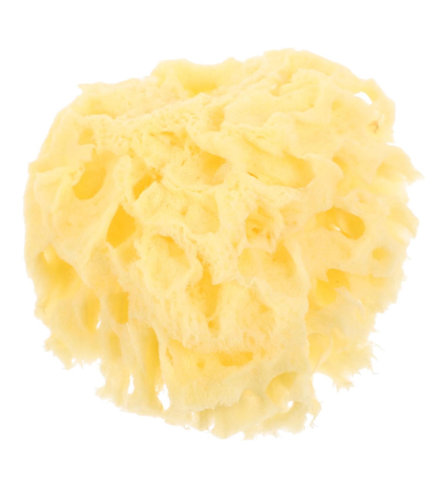 MAGICLULU Moisturizer Sea for Shower Sea for Bathing Shower Sponge for Body Sponge Shower Bath for Bathing Shower for Women Bath Sponge for - Buy Online on GoSupps.com